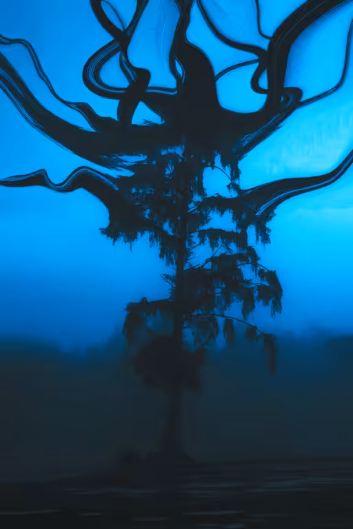 Jumbled Thoughts #18