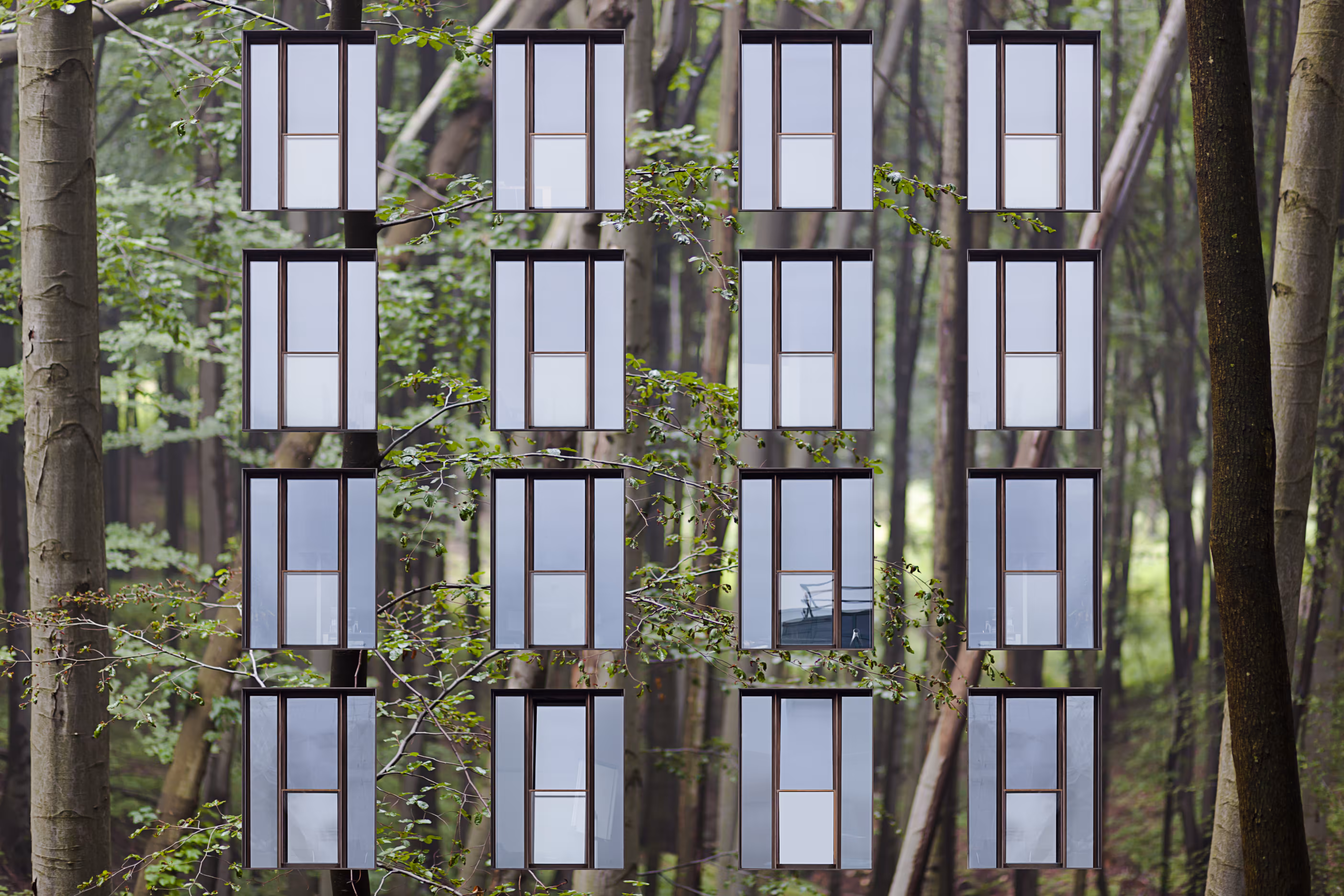 nature & urban 