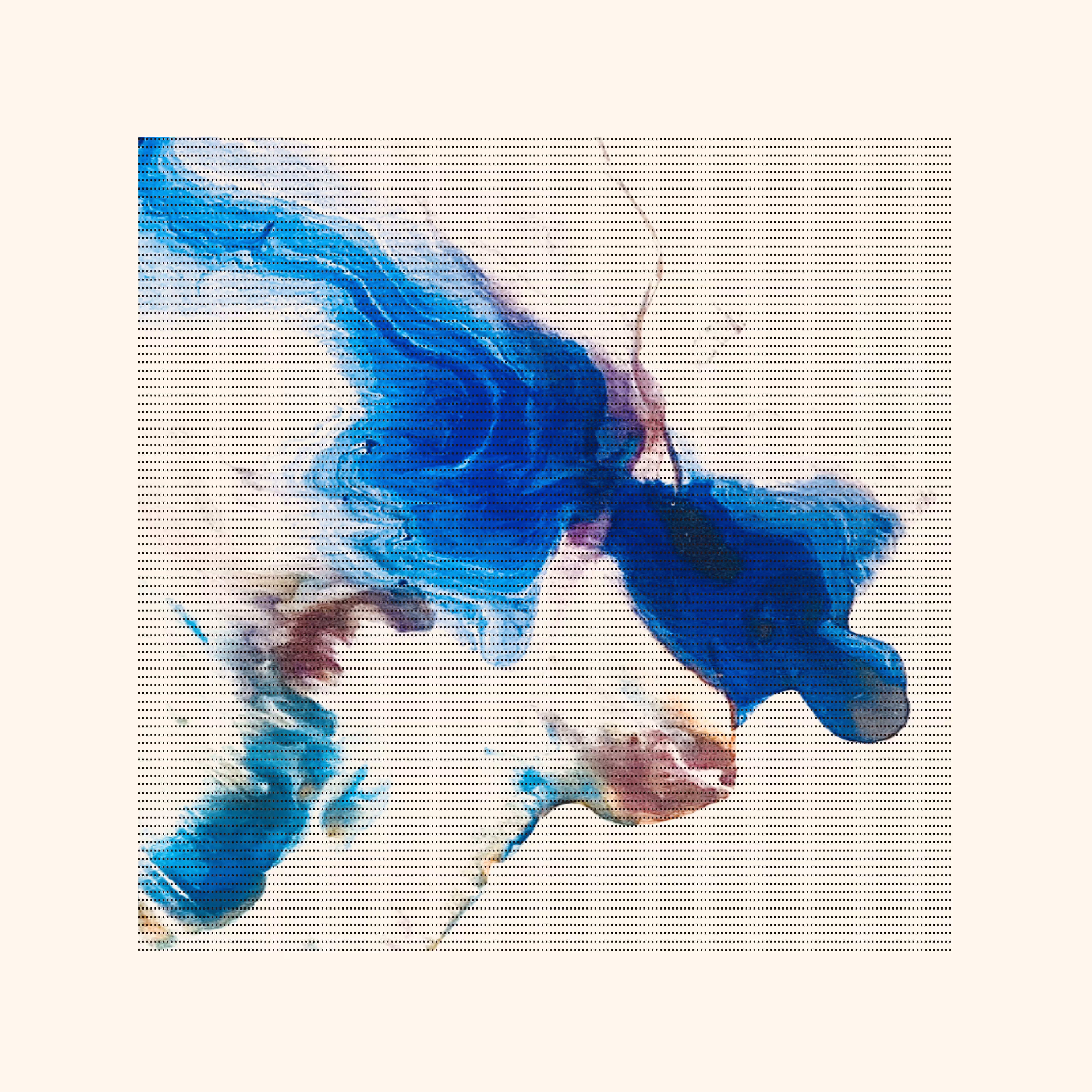 LT 009