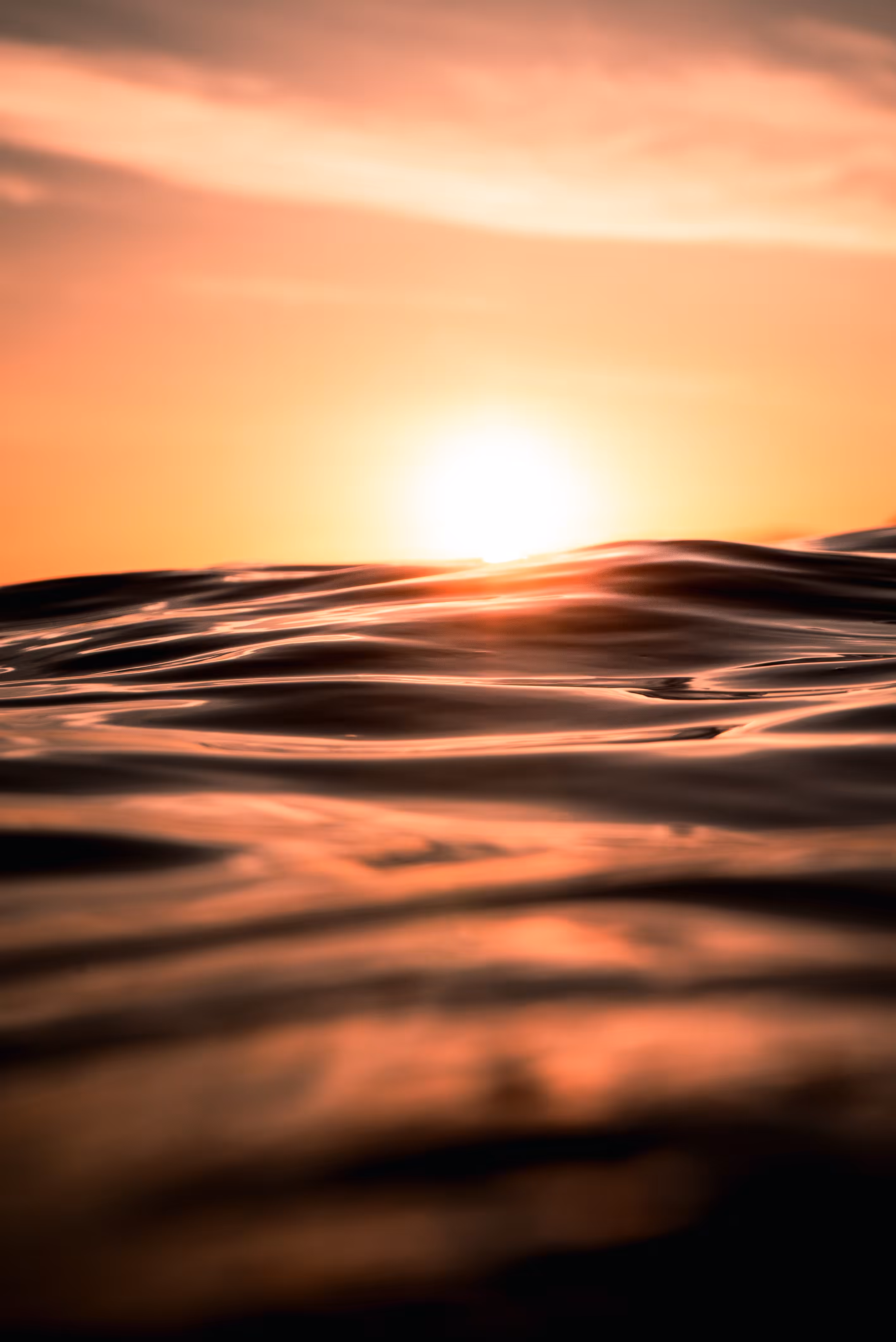 Obsidian Ocean