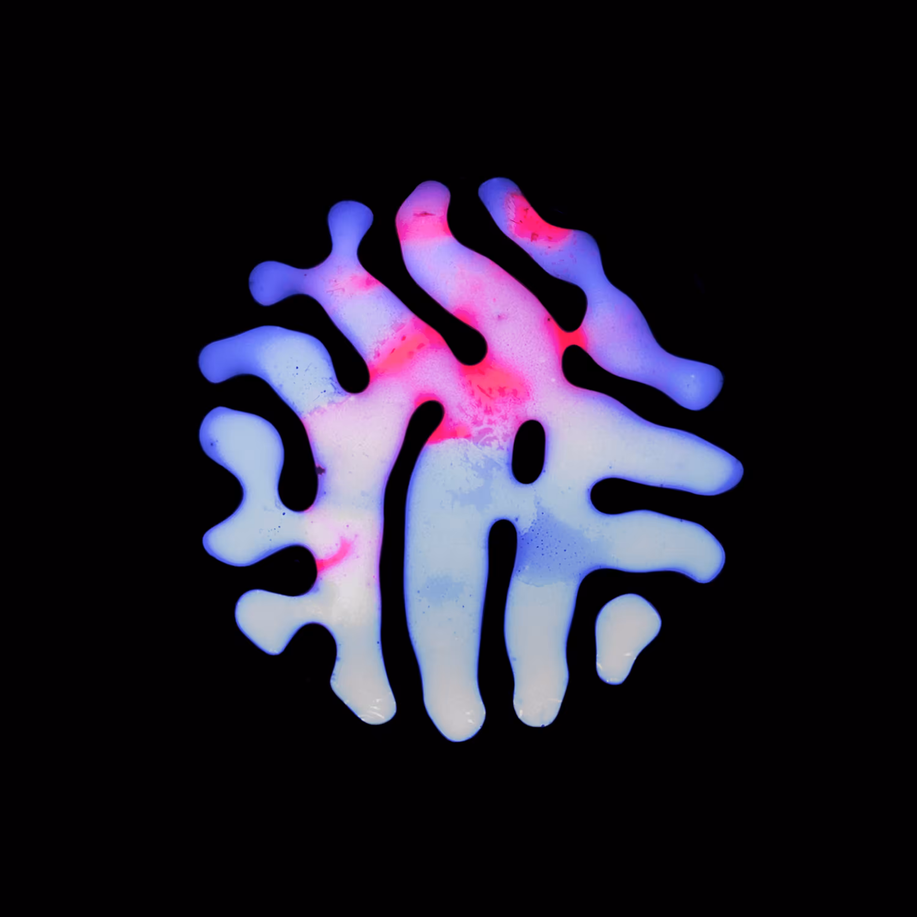 Haematopoiesis #3