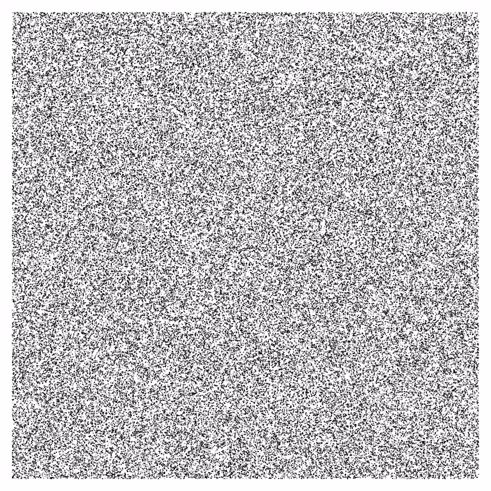 Noise #29