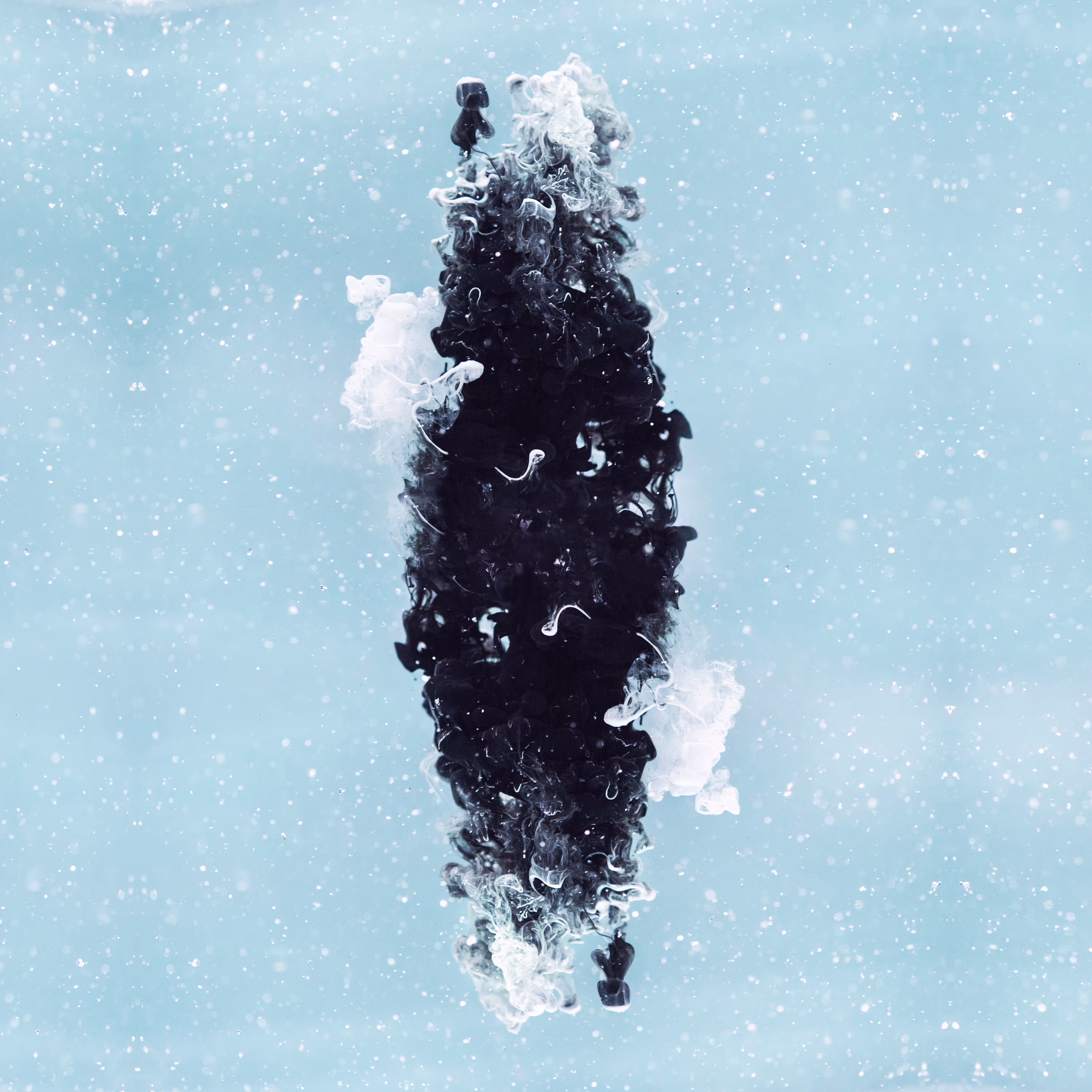 #3 Winter Is Over