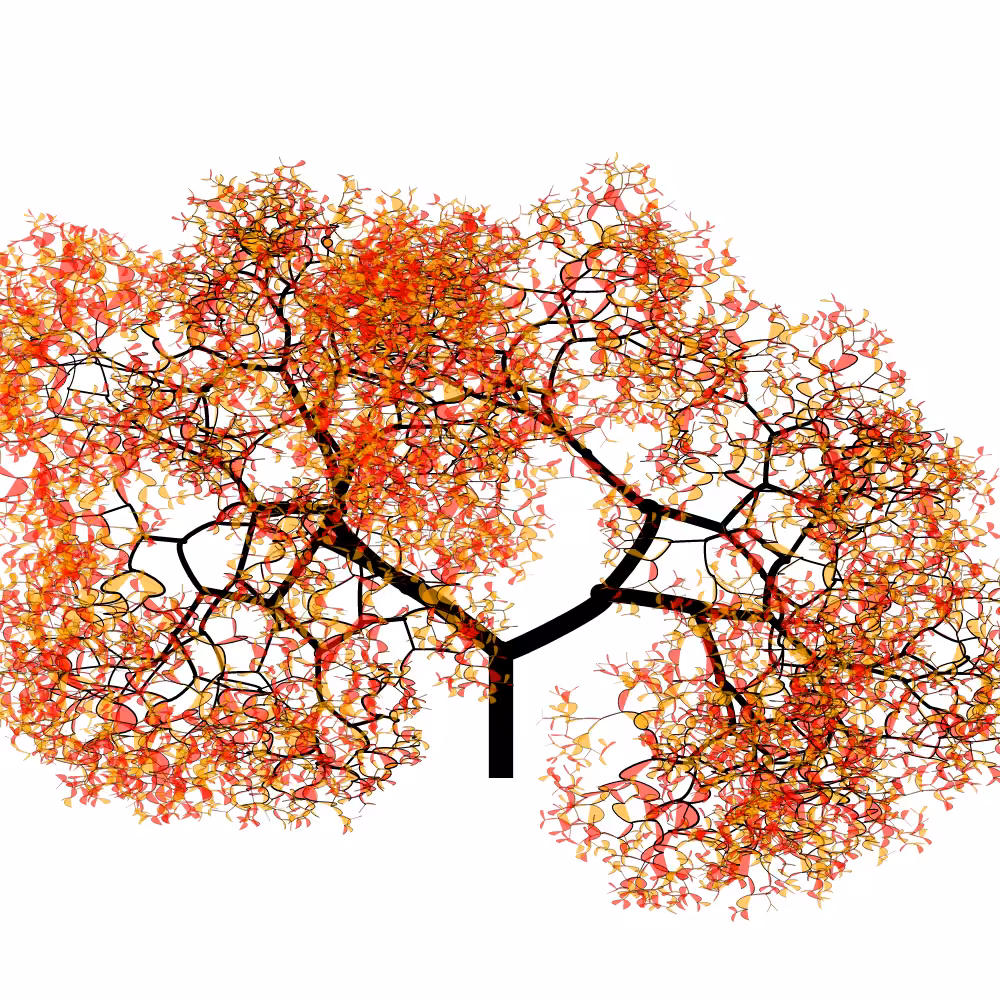 Bézier Bloom #67