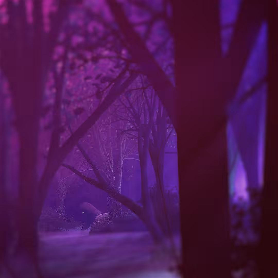 Isolated Not Alone