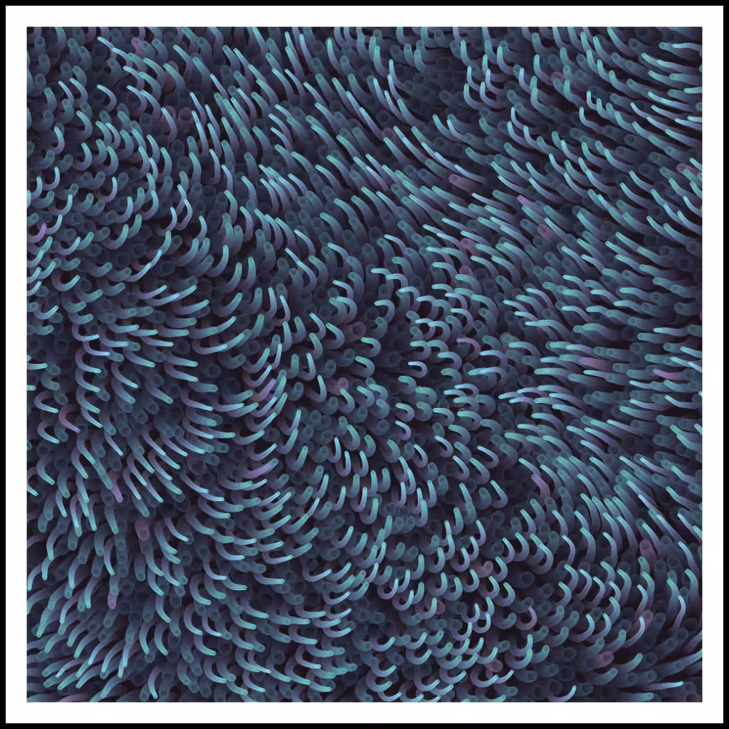 Studies of Motion  #10
