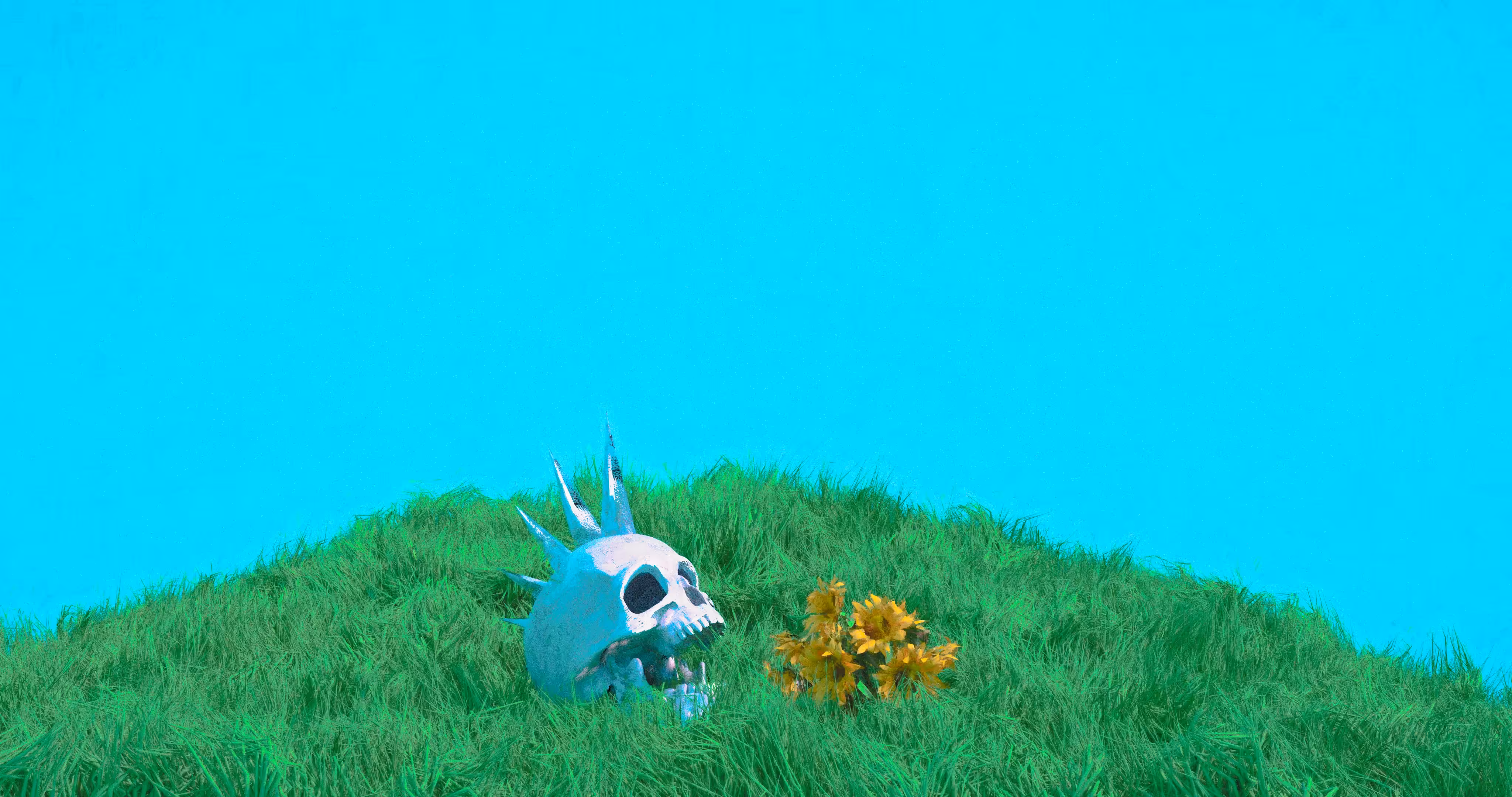 The Bliss