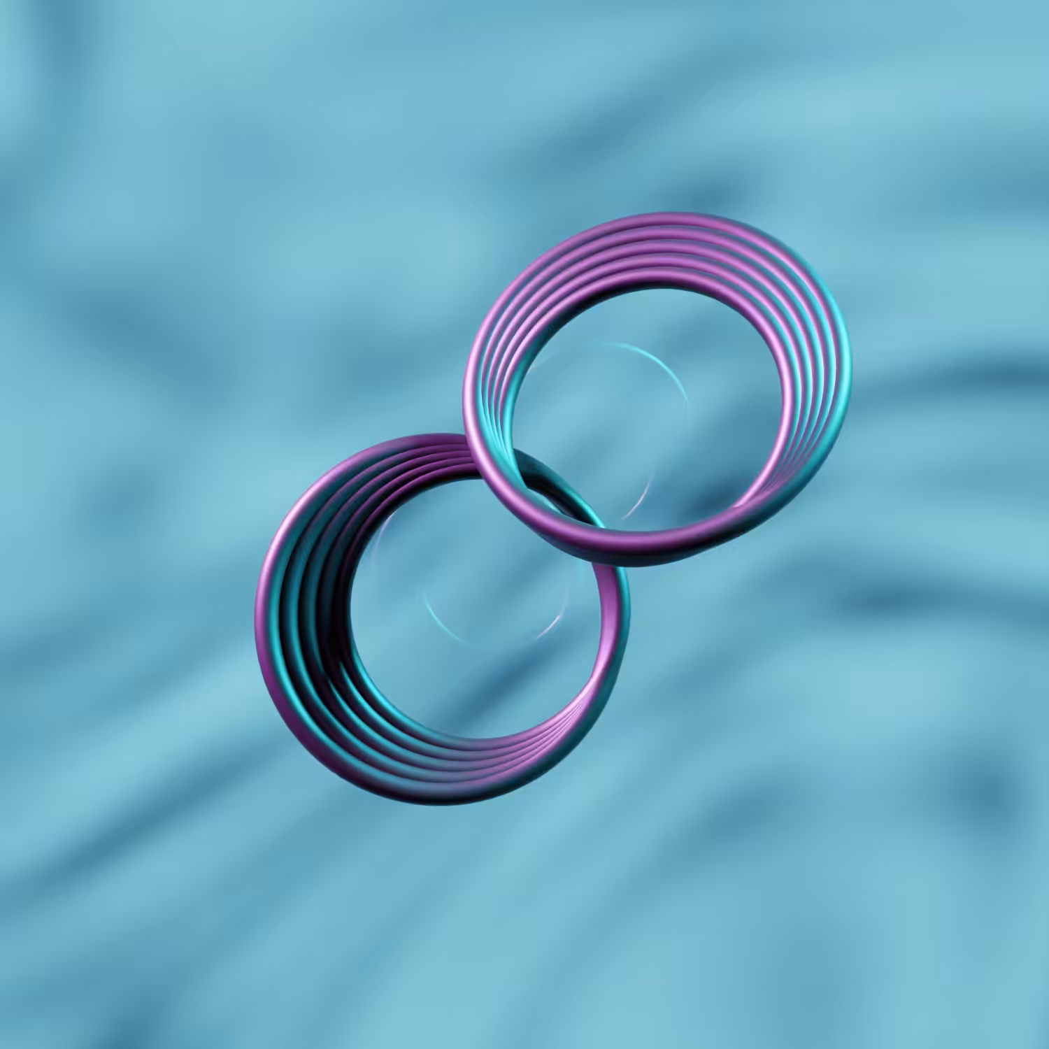 Ring Fly 