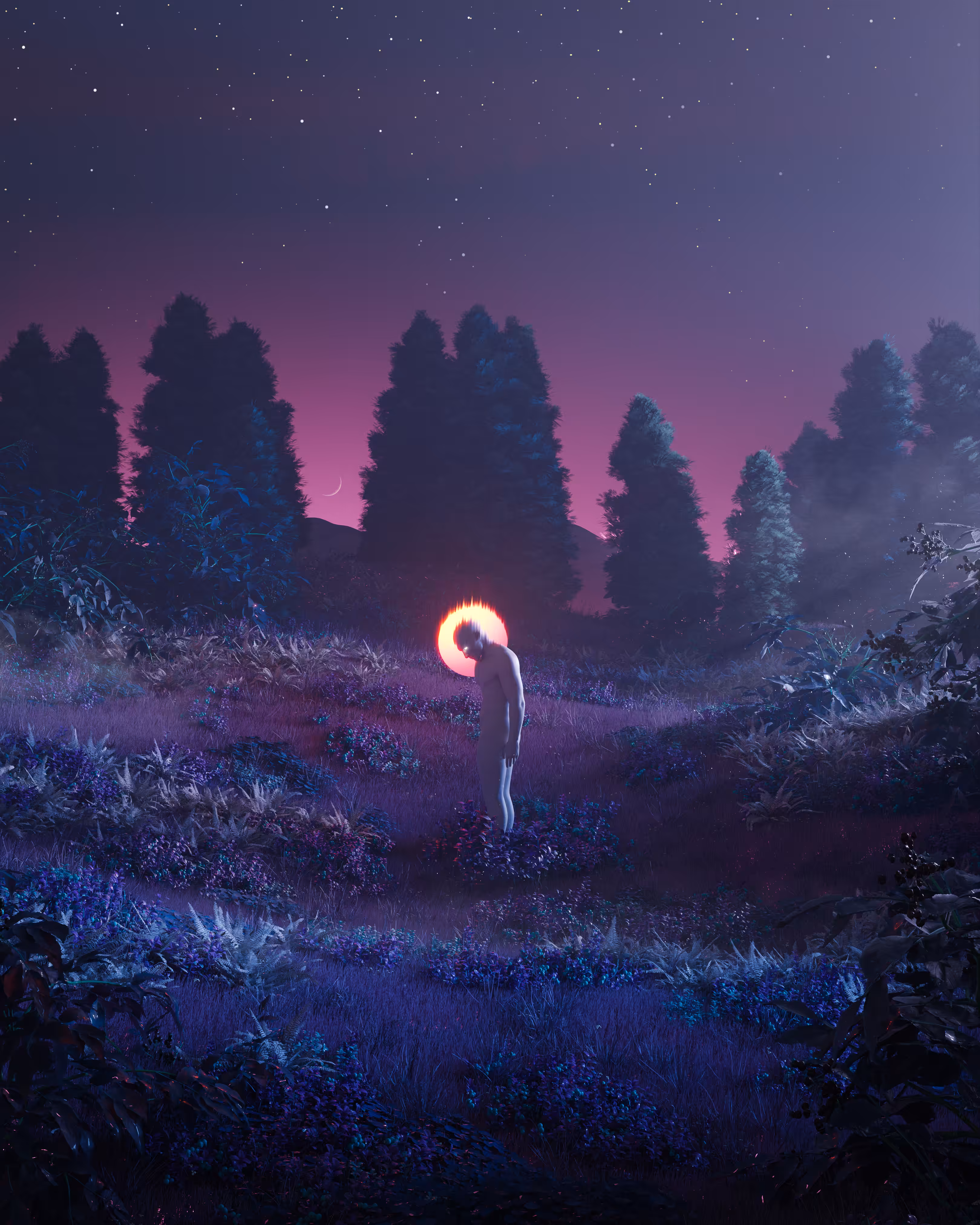 A Violet Night