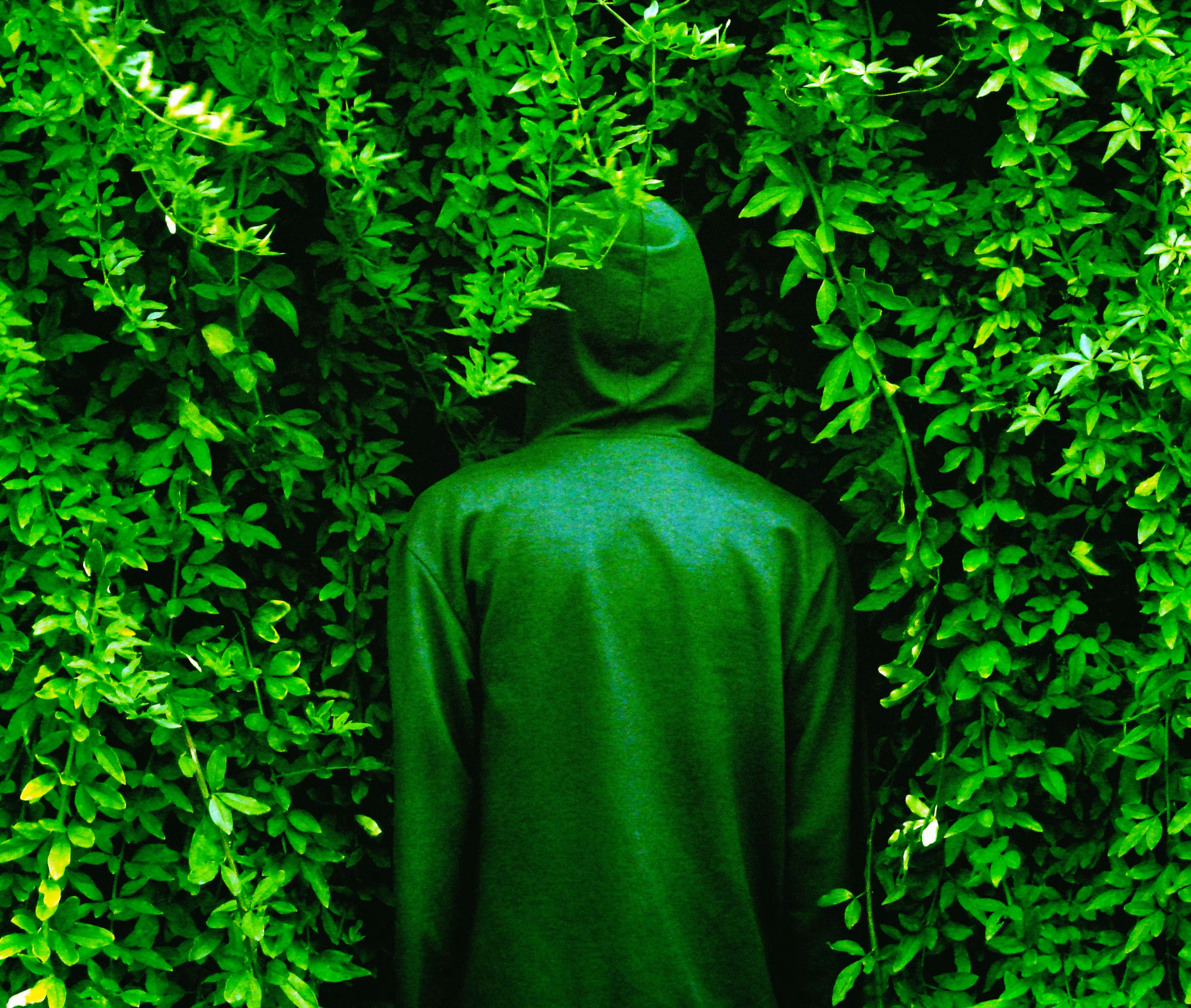 Untitled | From Mimicry serie