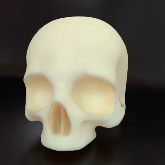 SkullZ #2.61