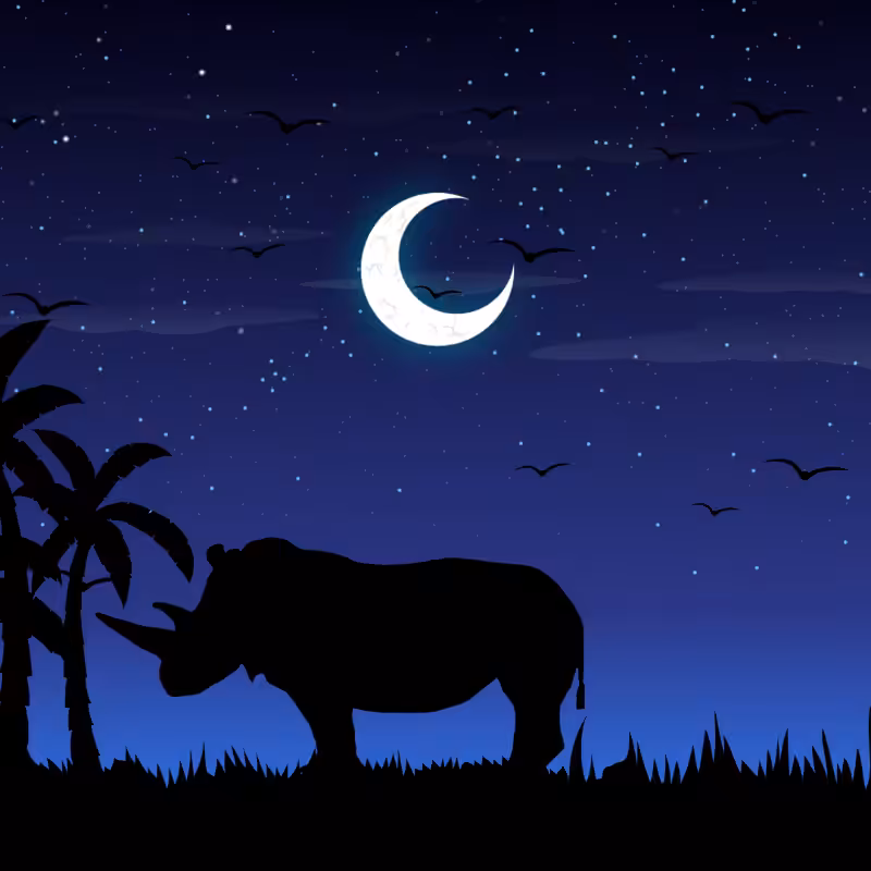 We Care...Rhinoceros