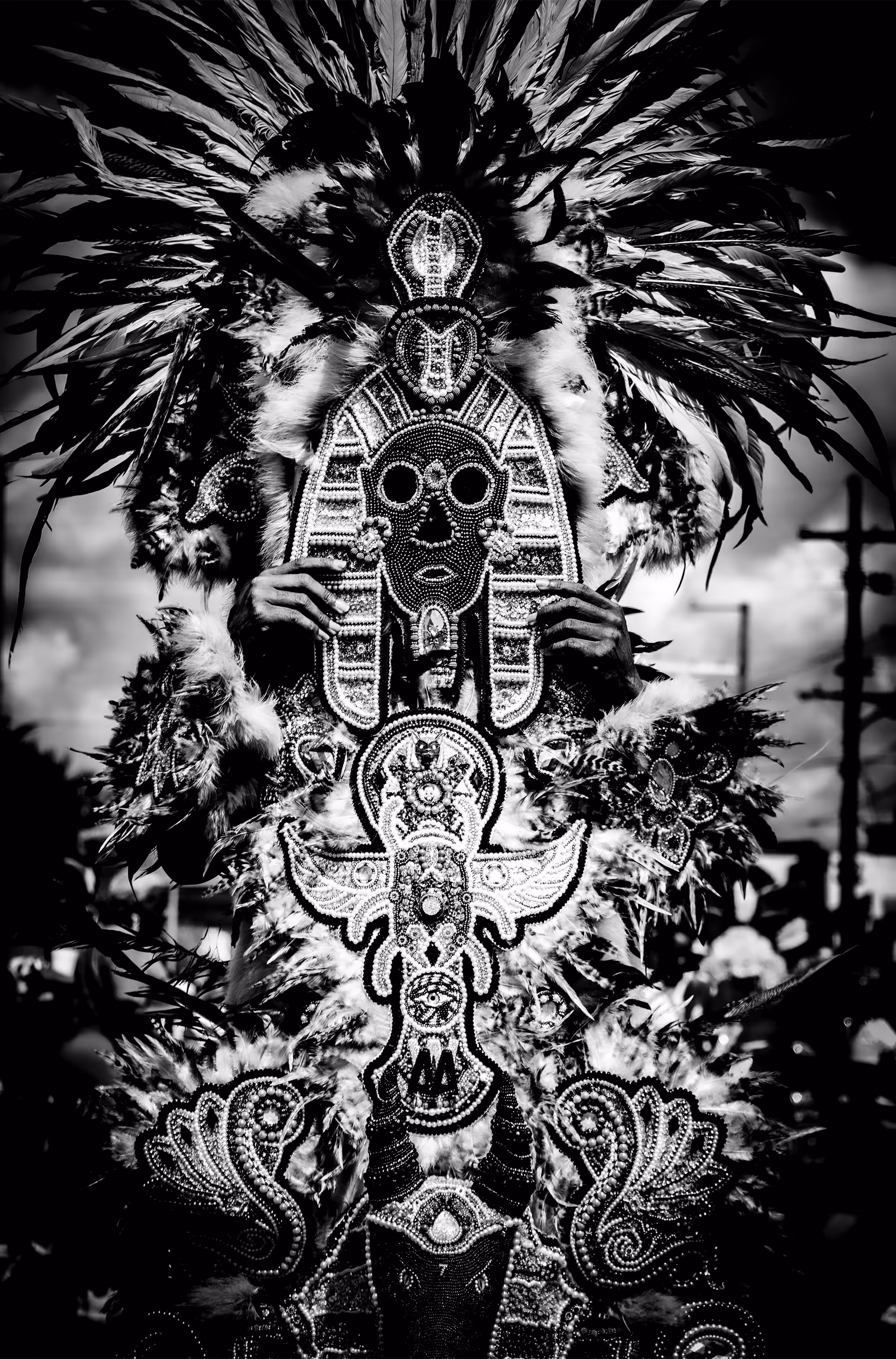 My Culture Collection #057