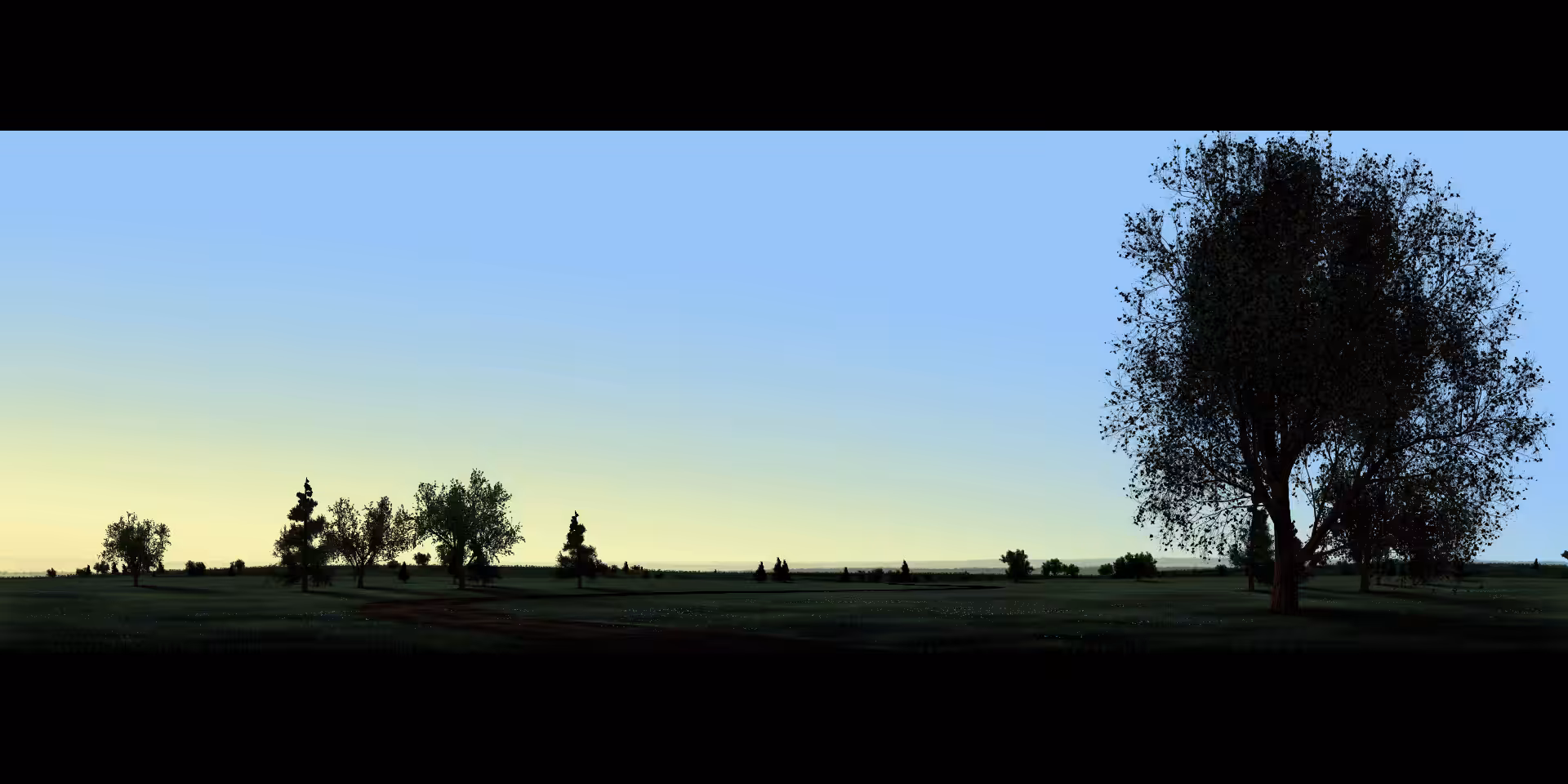 Mornings #40