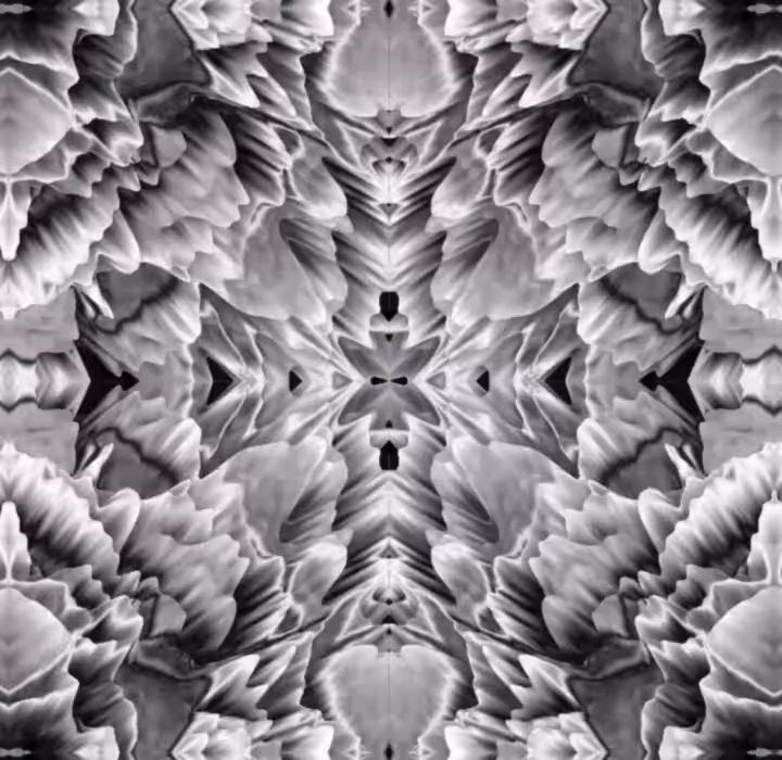 Symmetry V