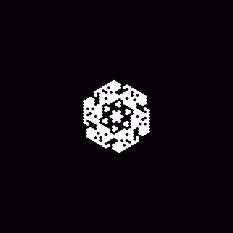 Snowflake #263