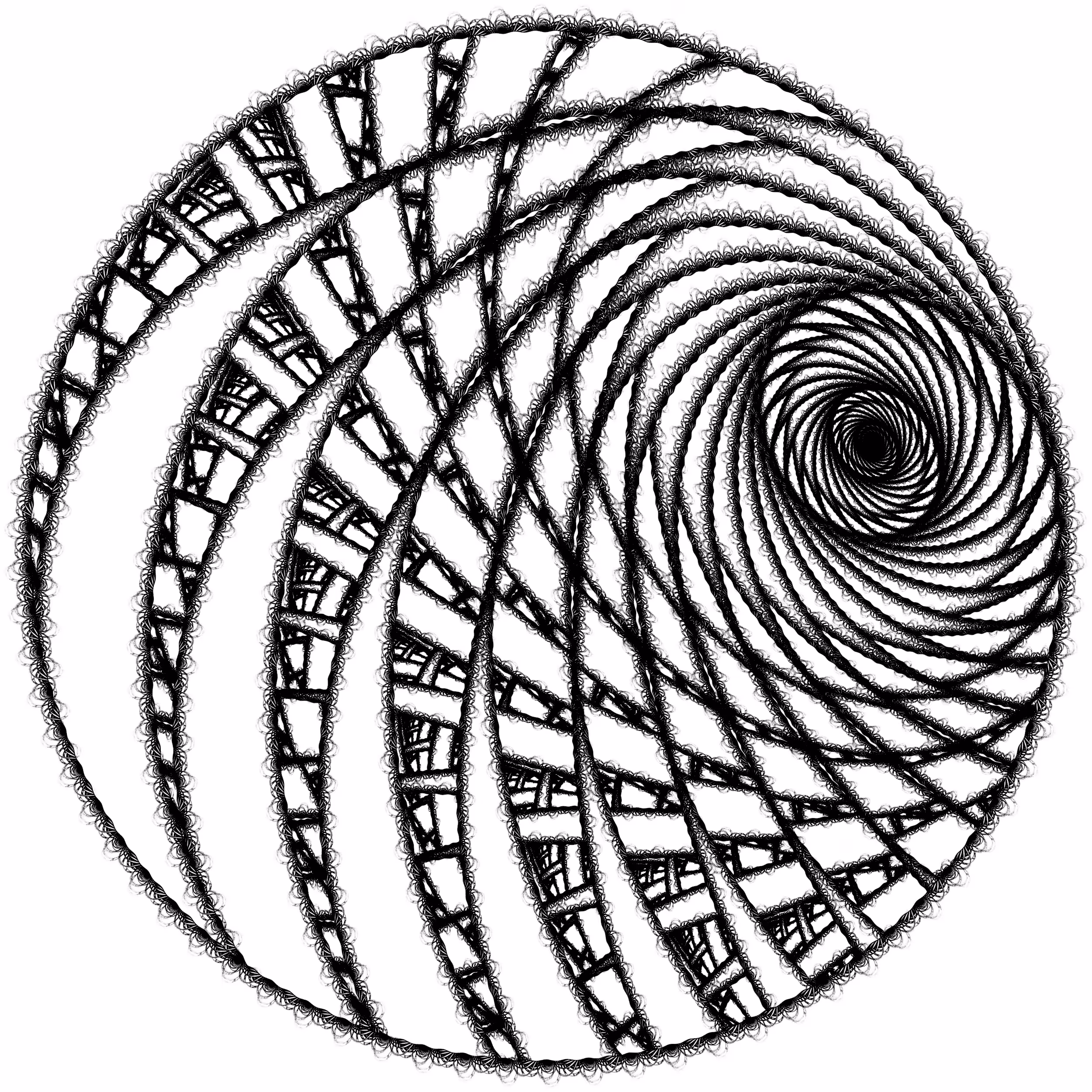 Fractal Snail