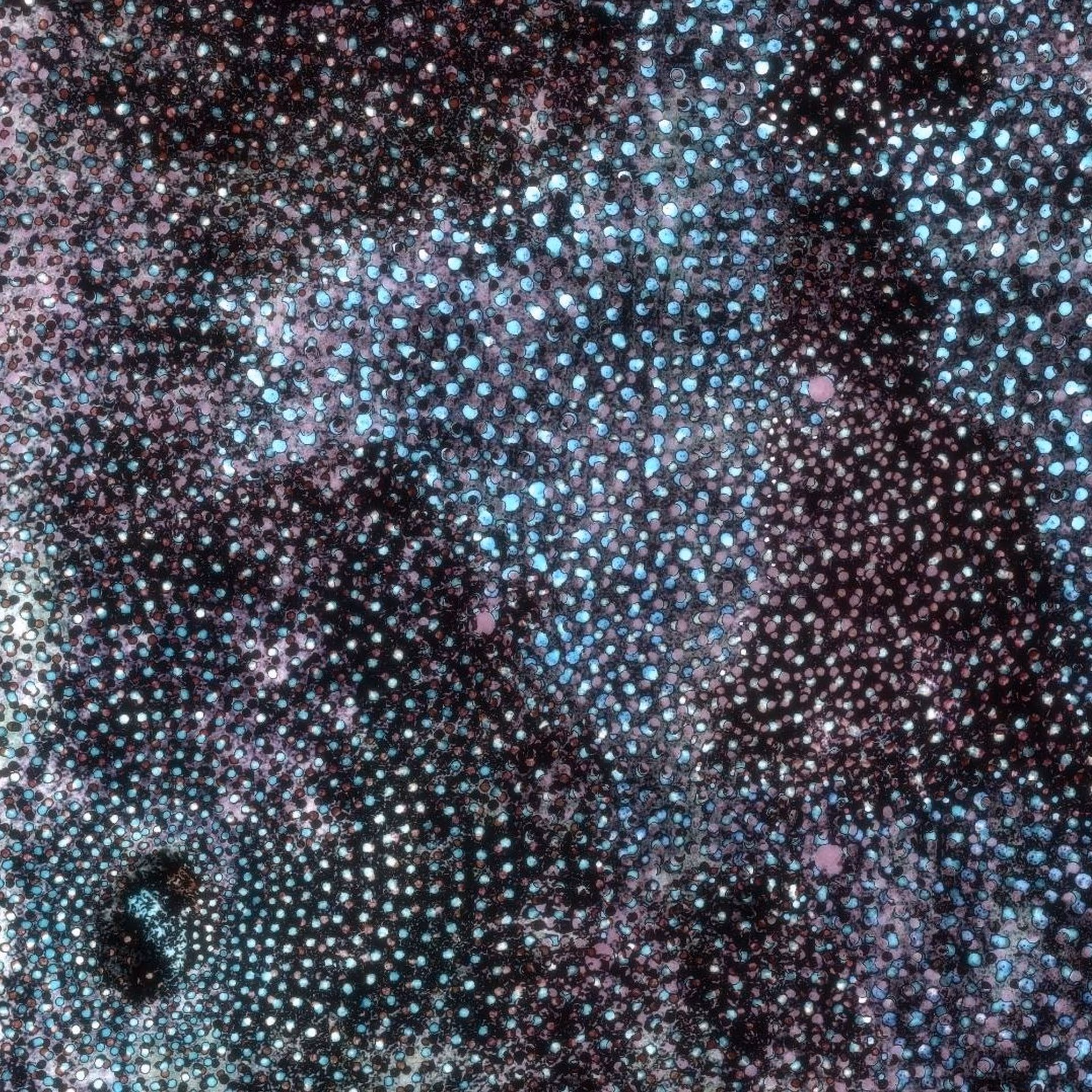 Veil