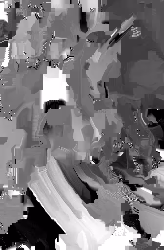Monochrome Matter Split #1