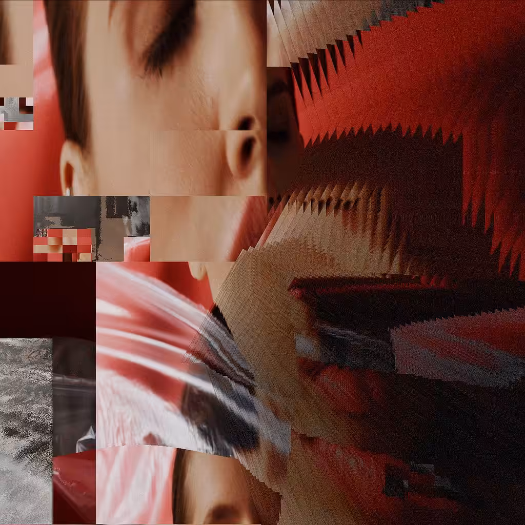 𝘍𝘳𝘢𝘨𝘮𝘦𝘯𝘵𝘢𝘵𝘪𝘰𝘯𝘴
