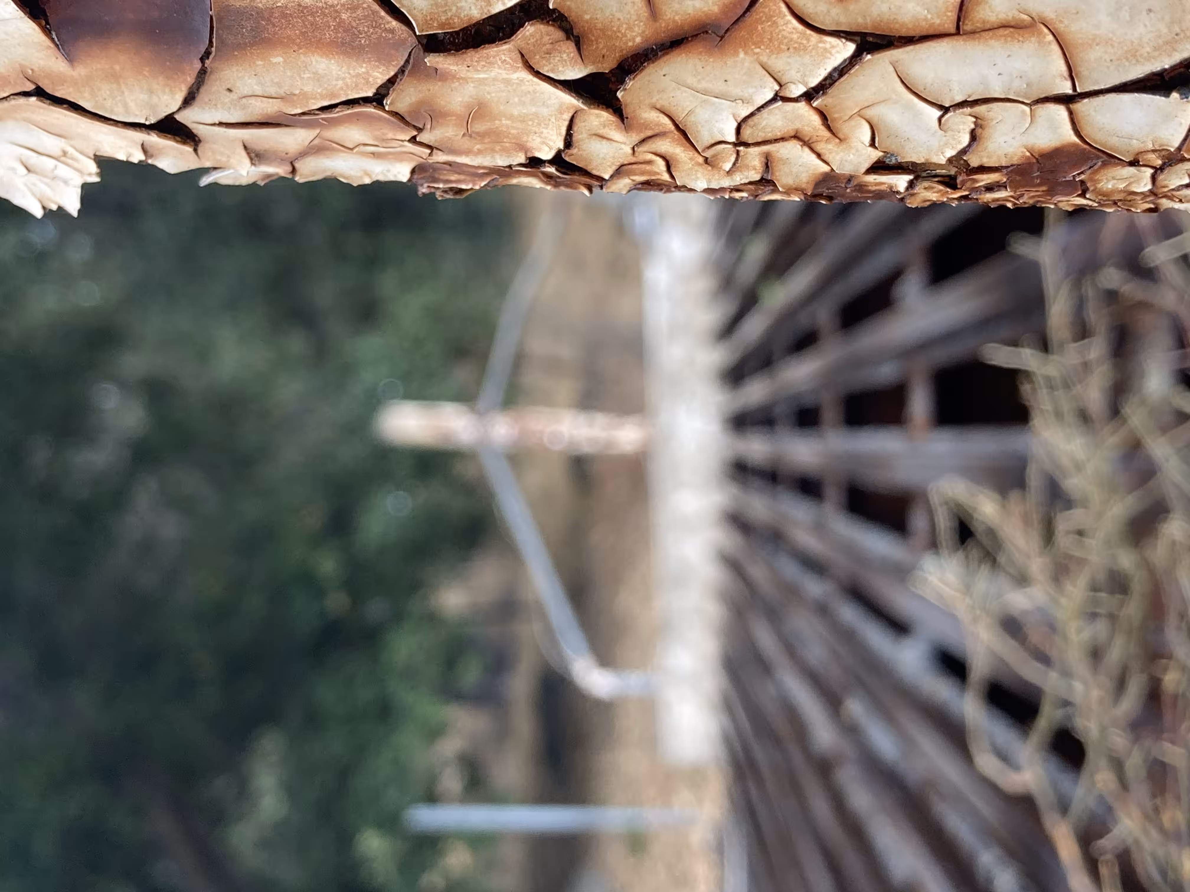 Cattle Guard