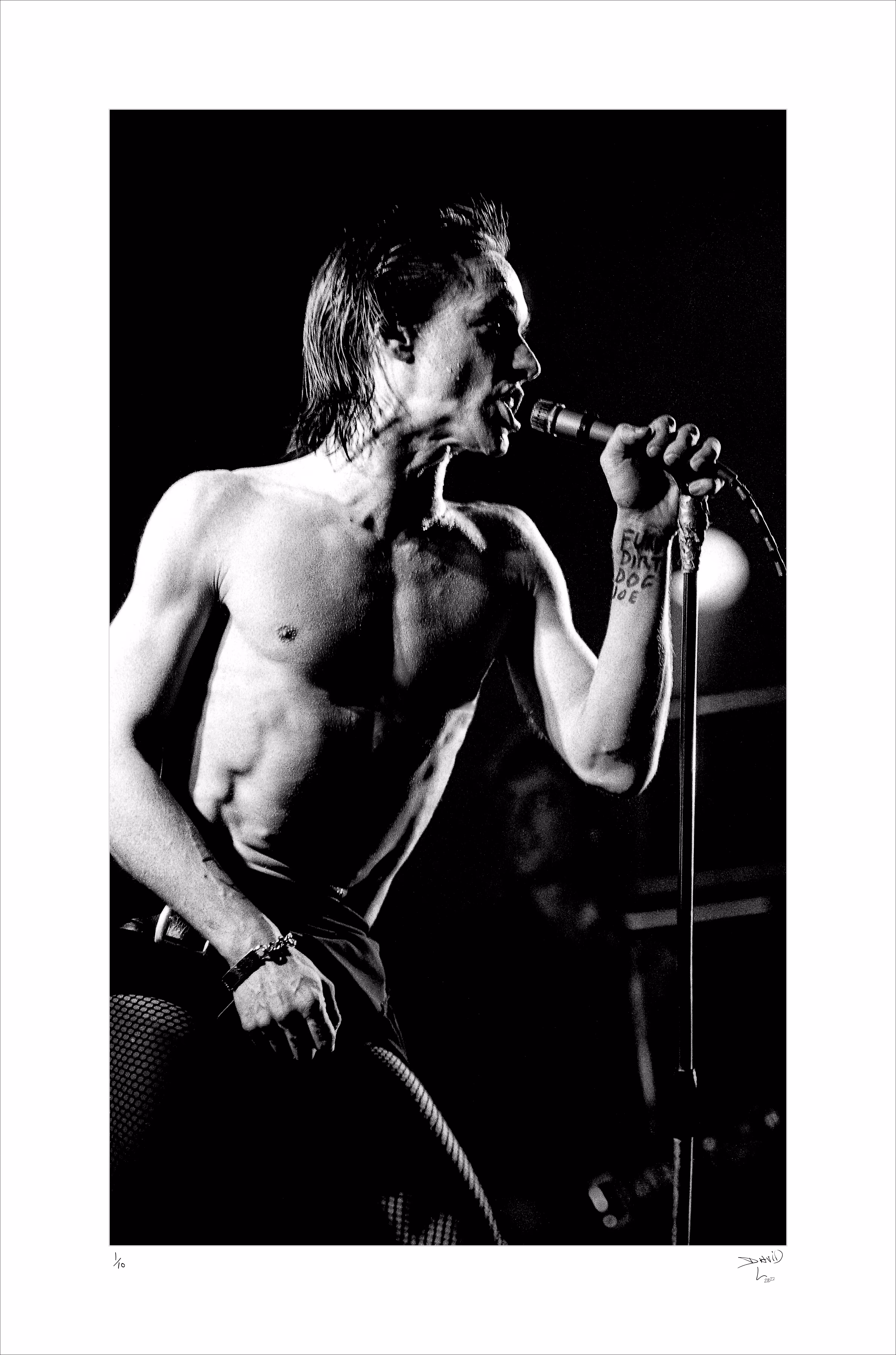Iggy Pop