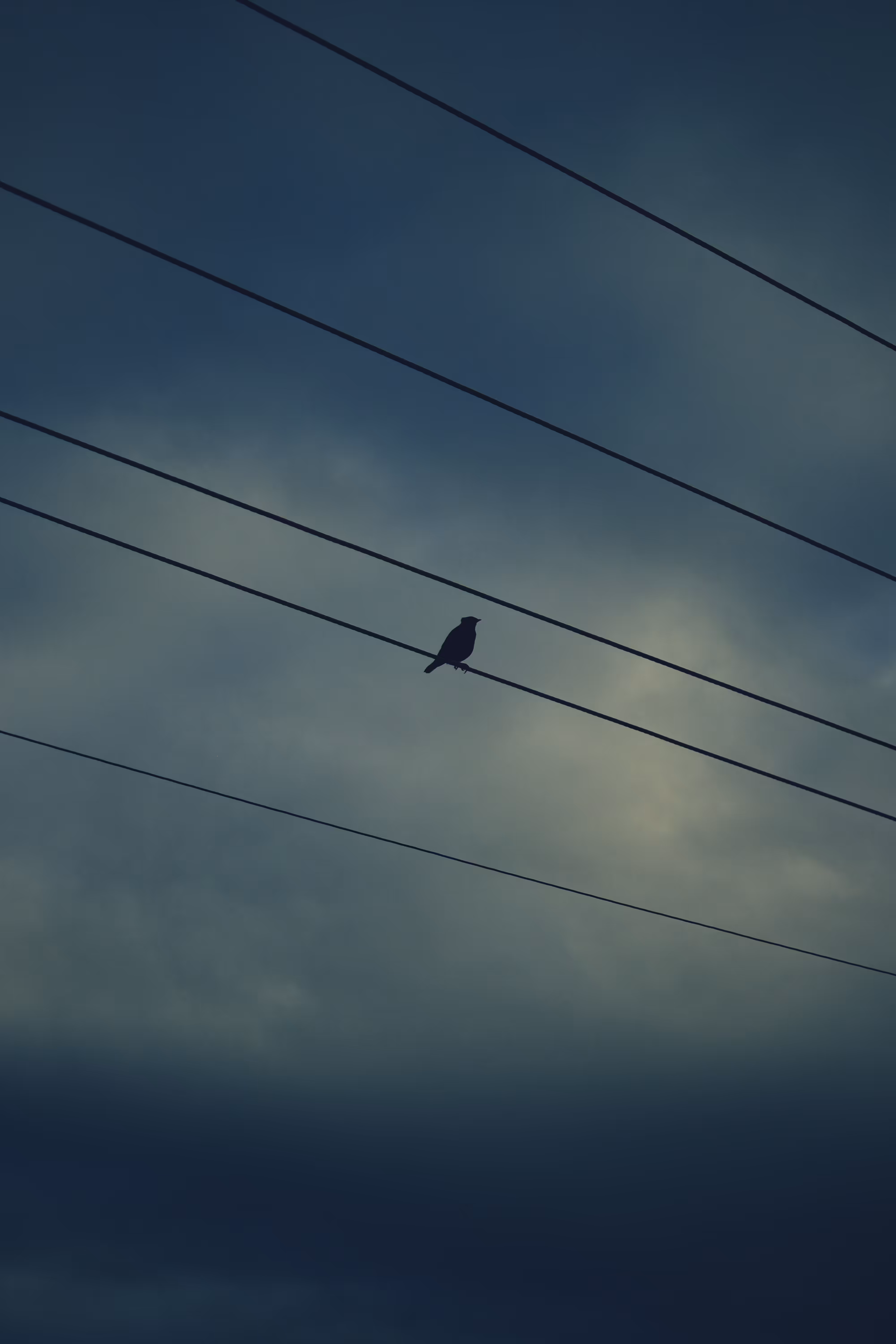 The Solace in Soliitude.