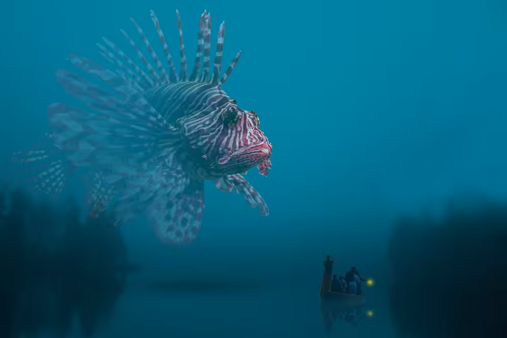 Approching The Night Krawler