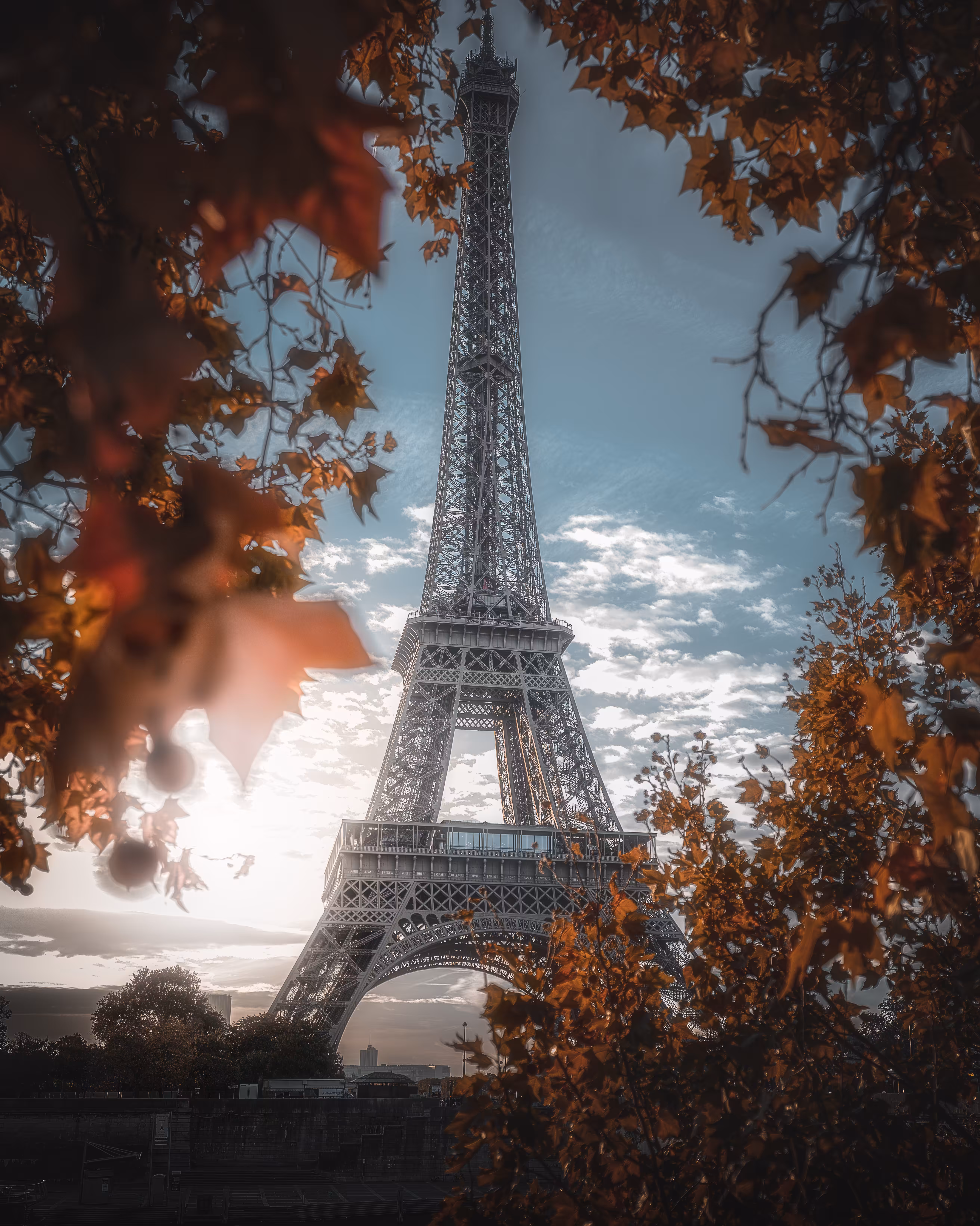 Framed by Leaves