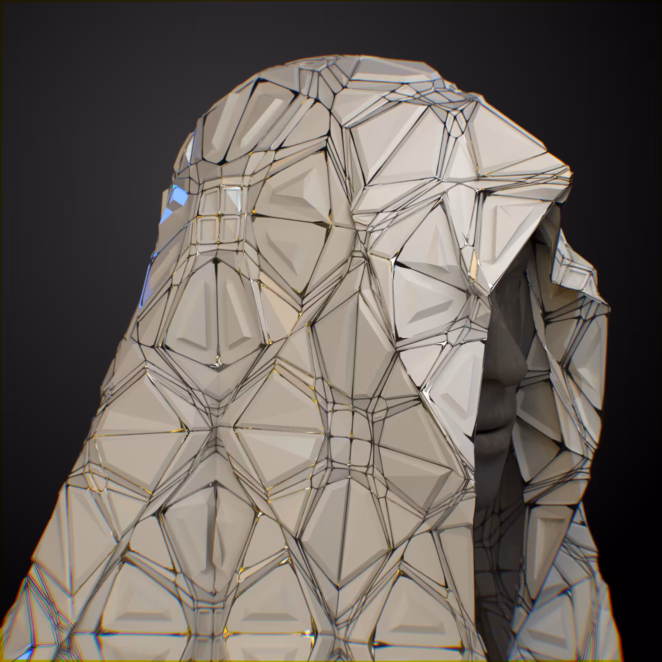 poly.div.cover(seed=6)