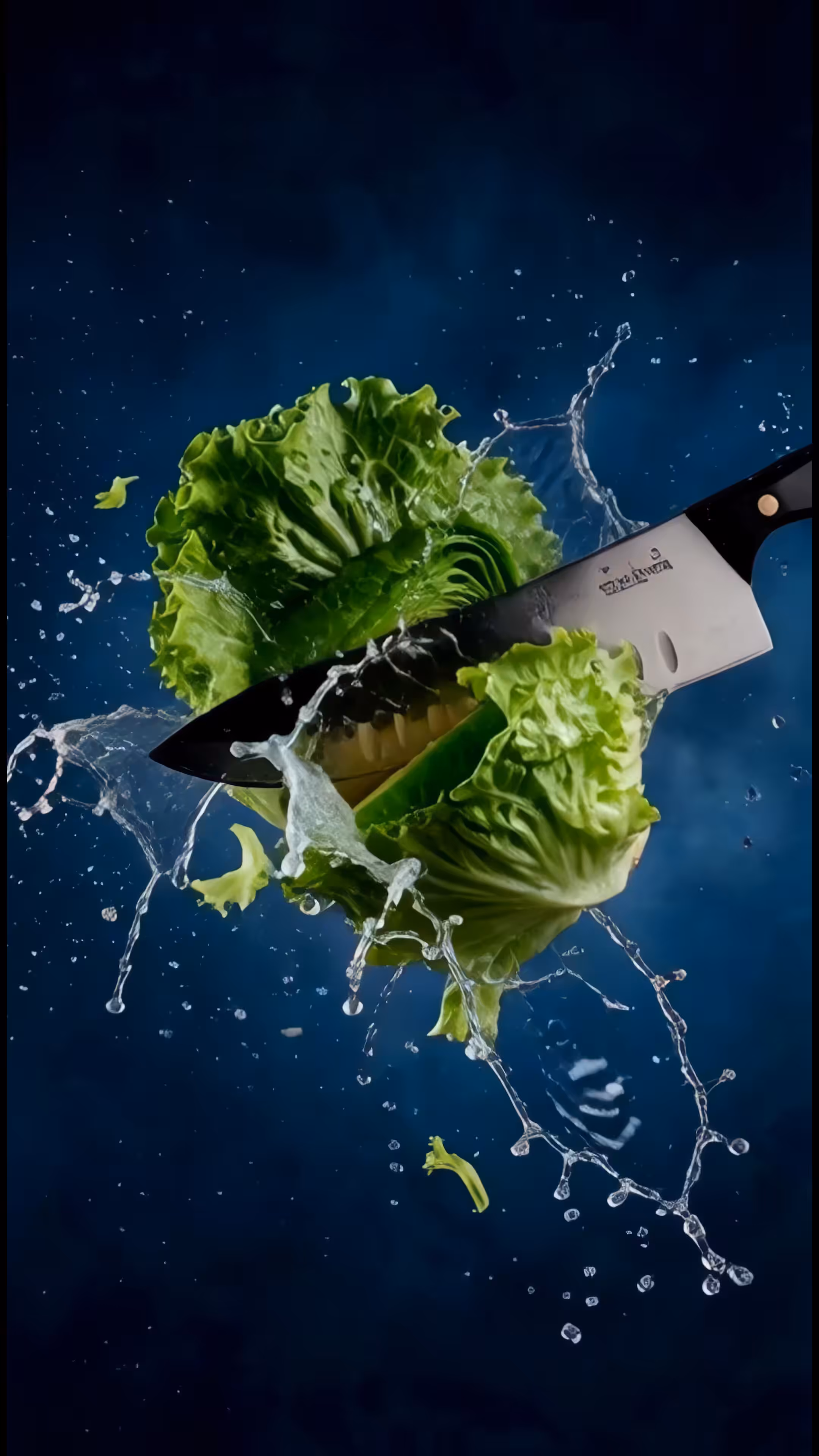 CHOP Lettuce