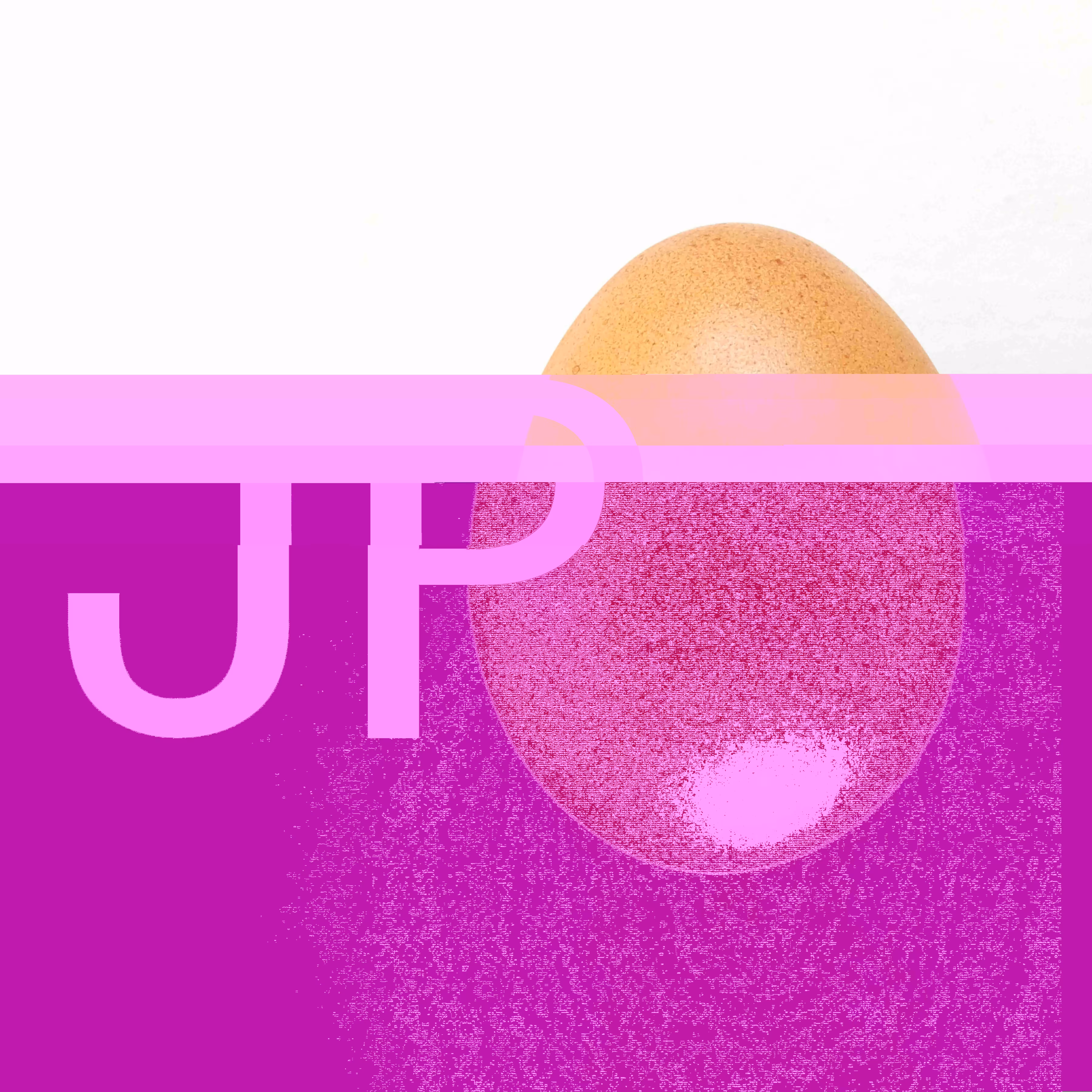 Glitched JPEGG