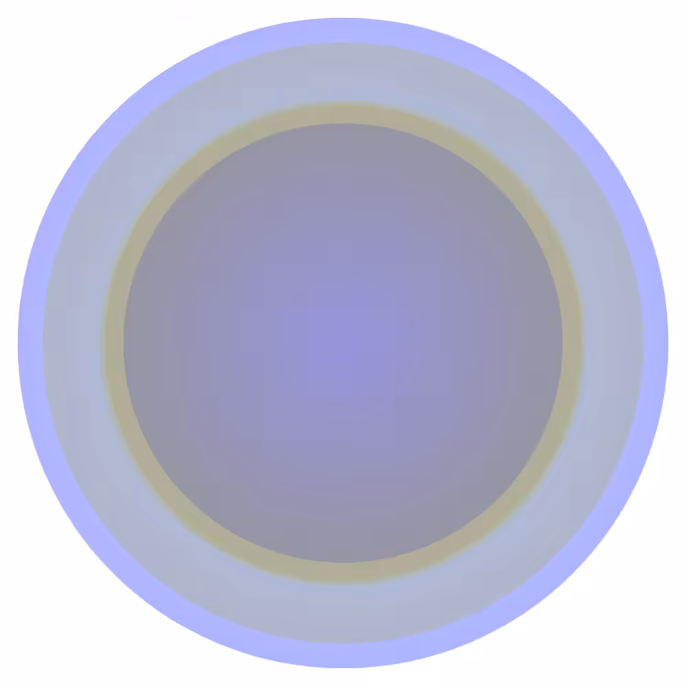 disk (019) #4