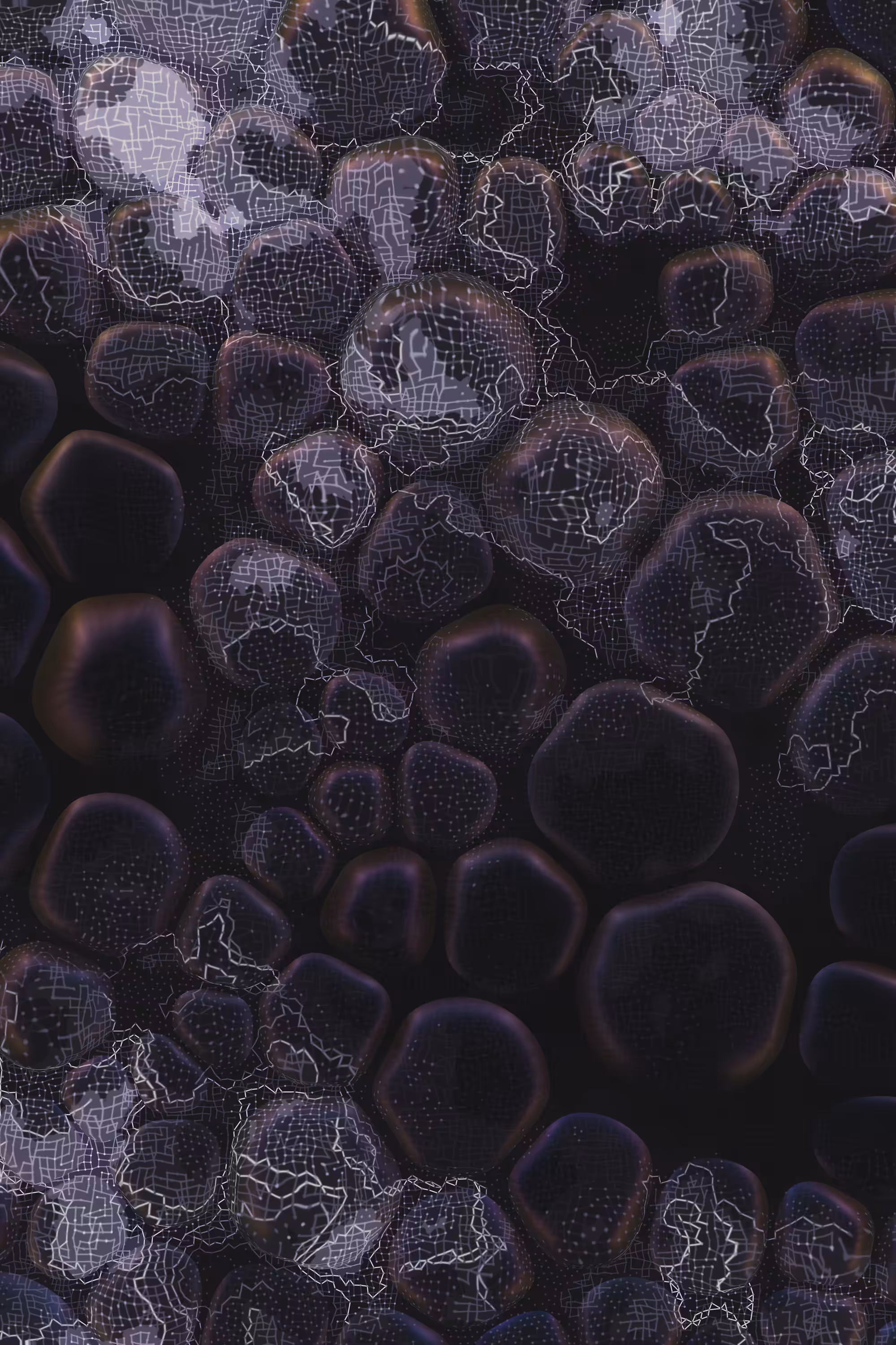 Vitreous #50