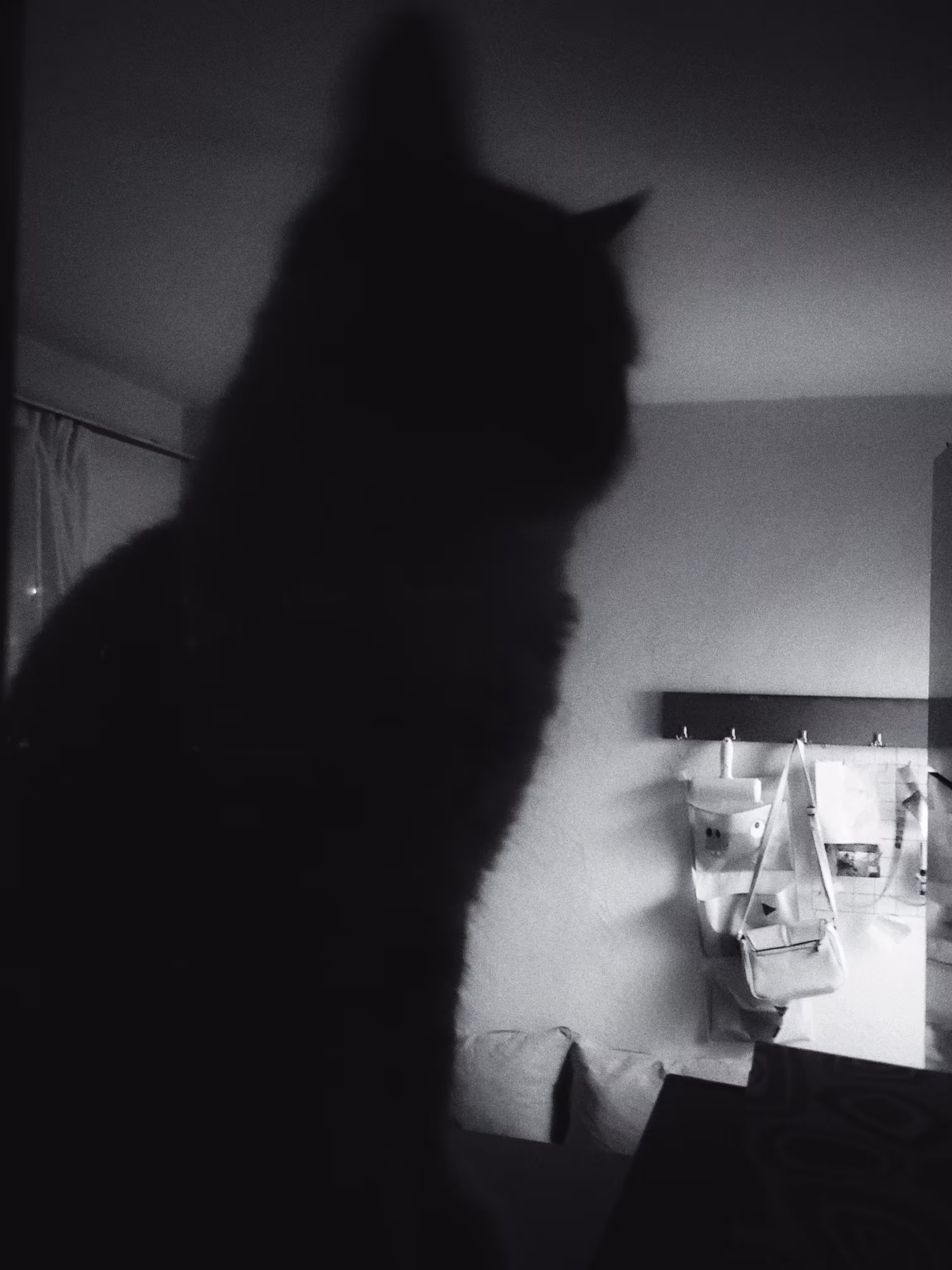 Catman