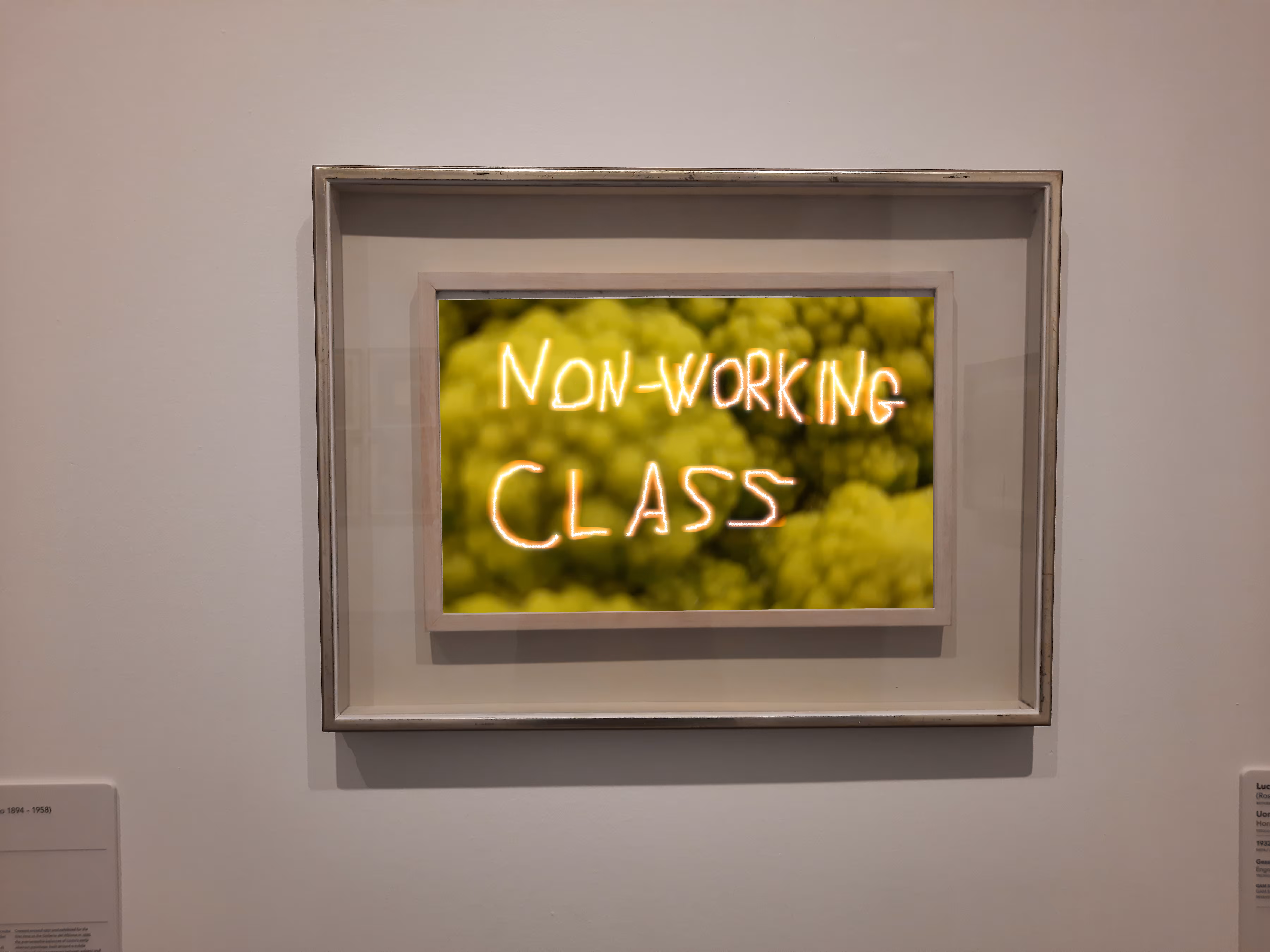 Non-working Class