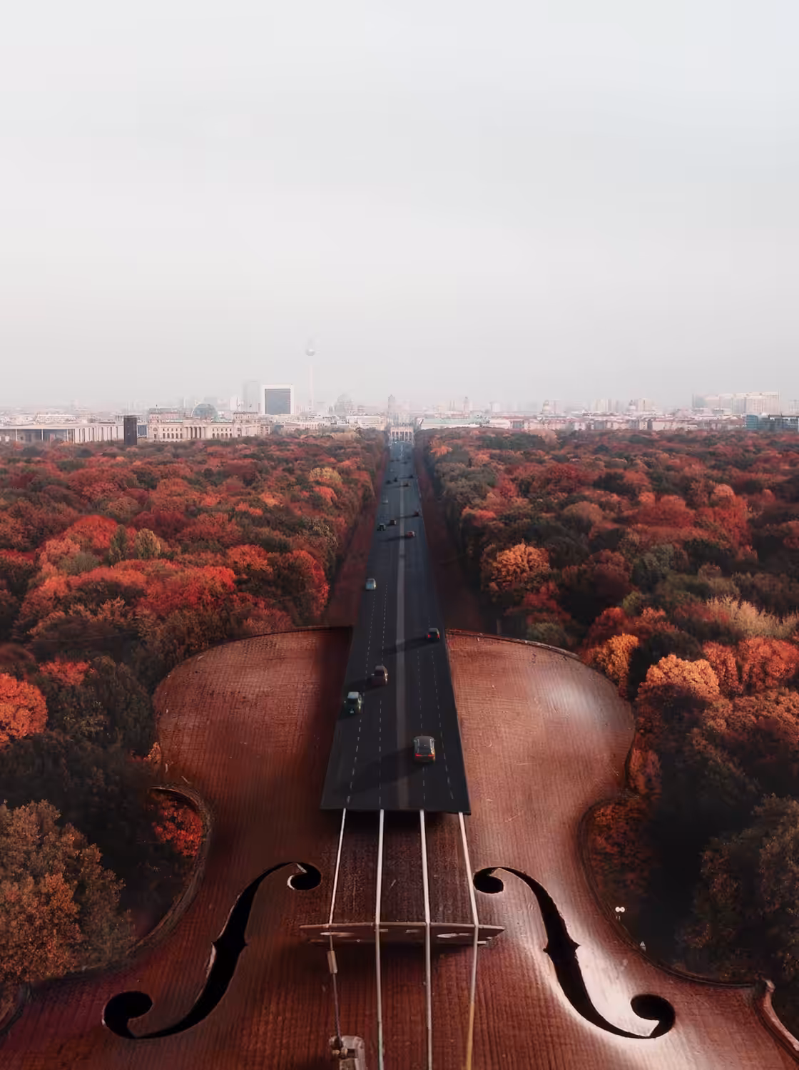 Violin Journey 