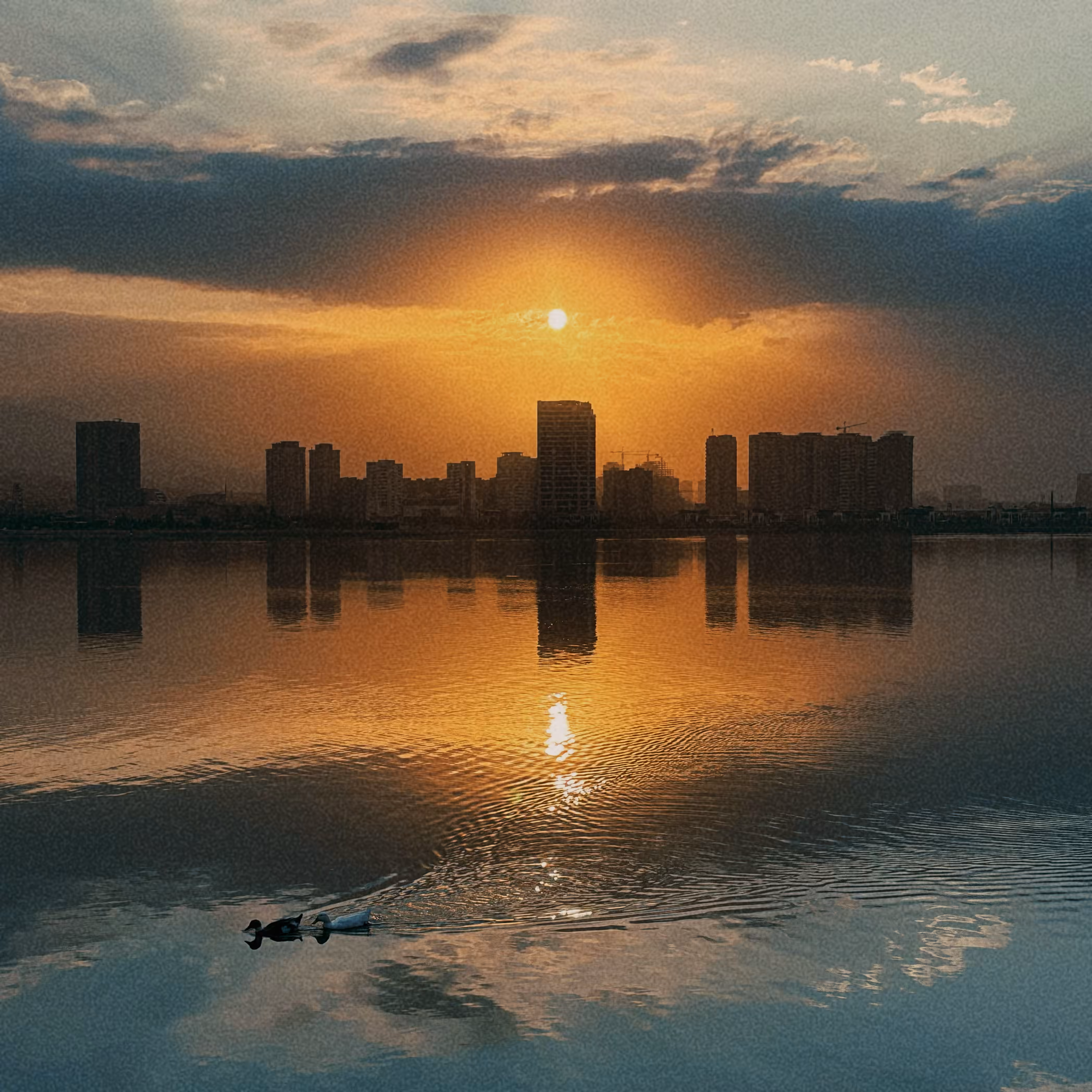 Beautiful Sunrise
