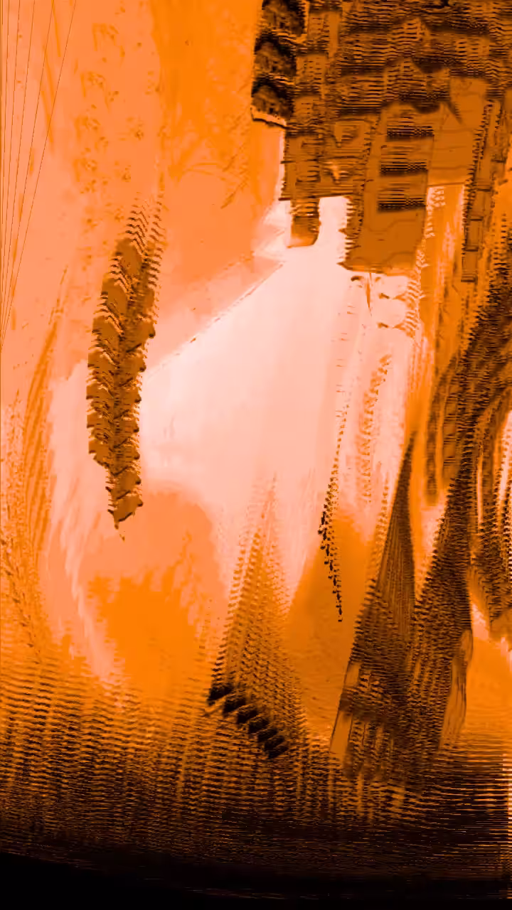 Rodeo posts: R̶̭a̸̘͂n̷g̴ͅe̸͓