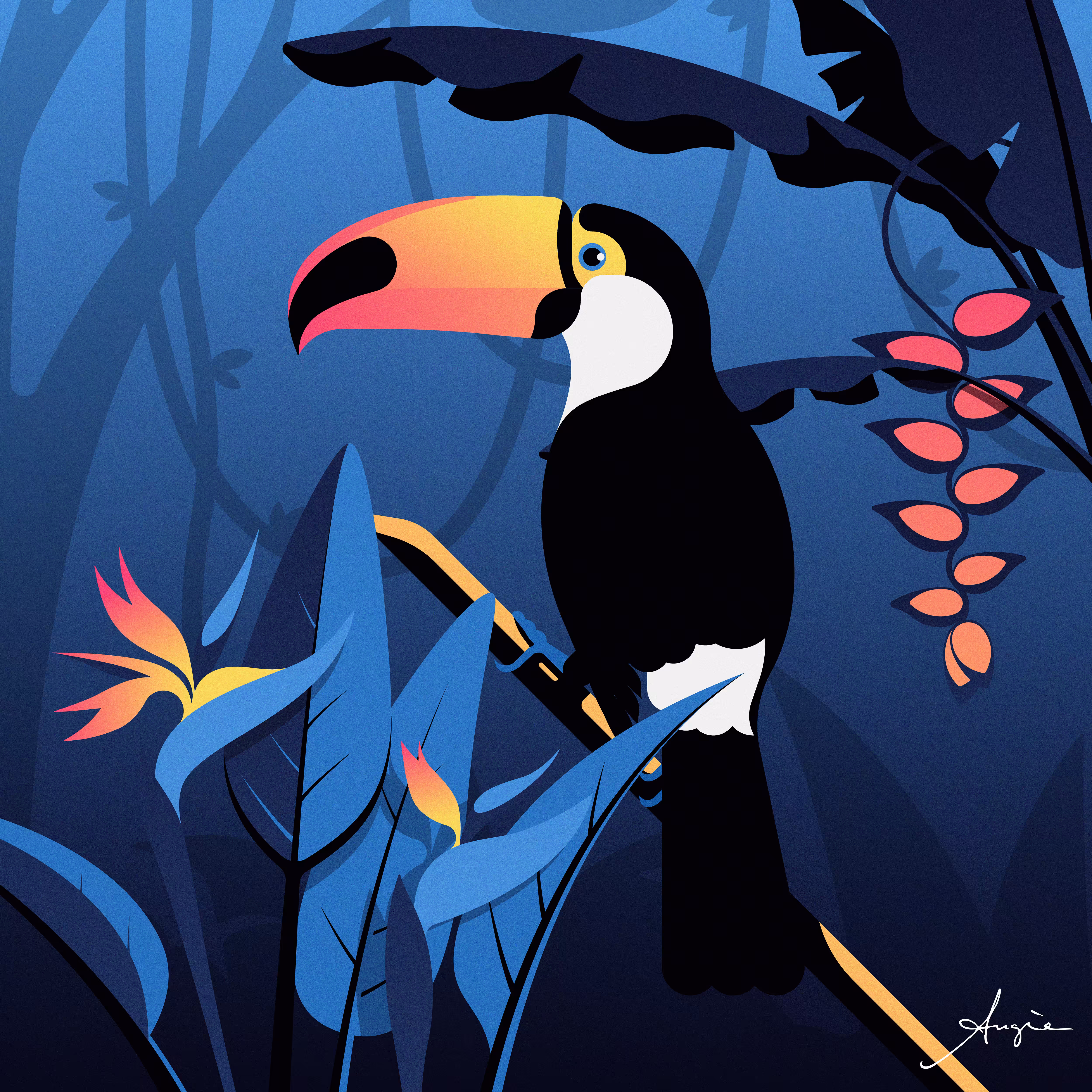 Bird of Paradise