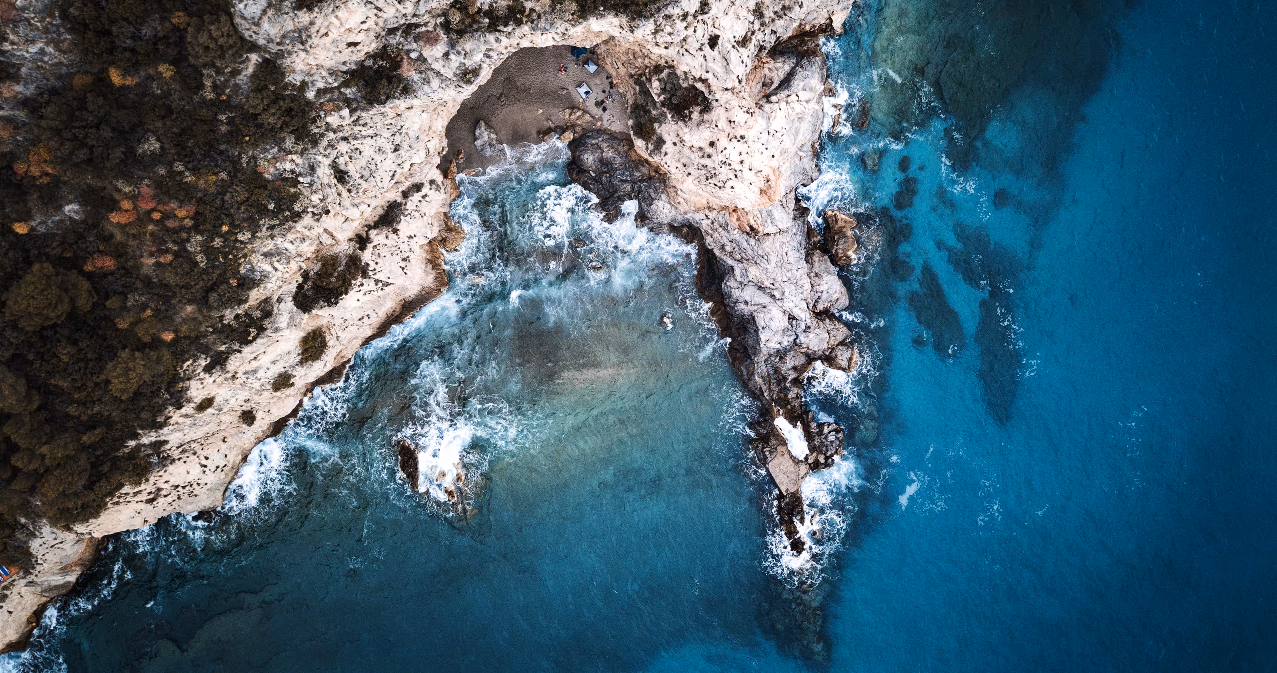 ZENITH: SEASHORE #4