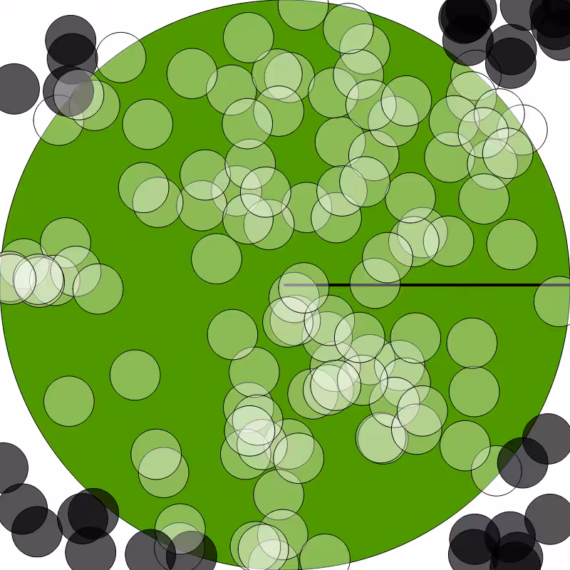 (π) #2