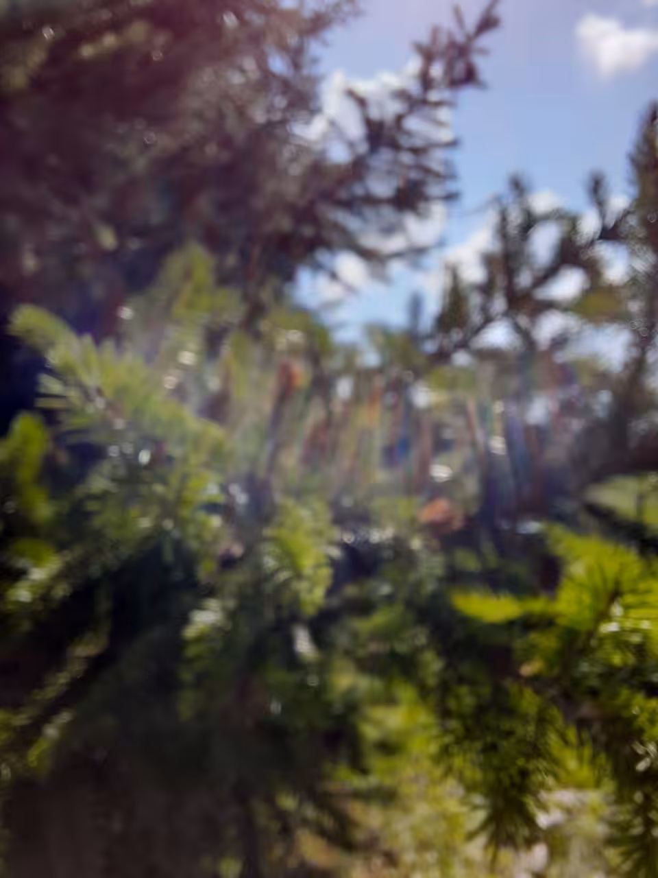 Rays of sunshine