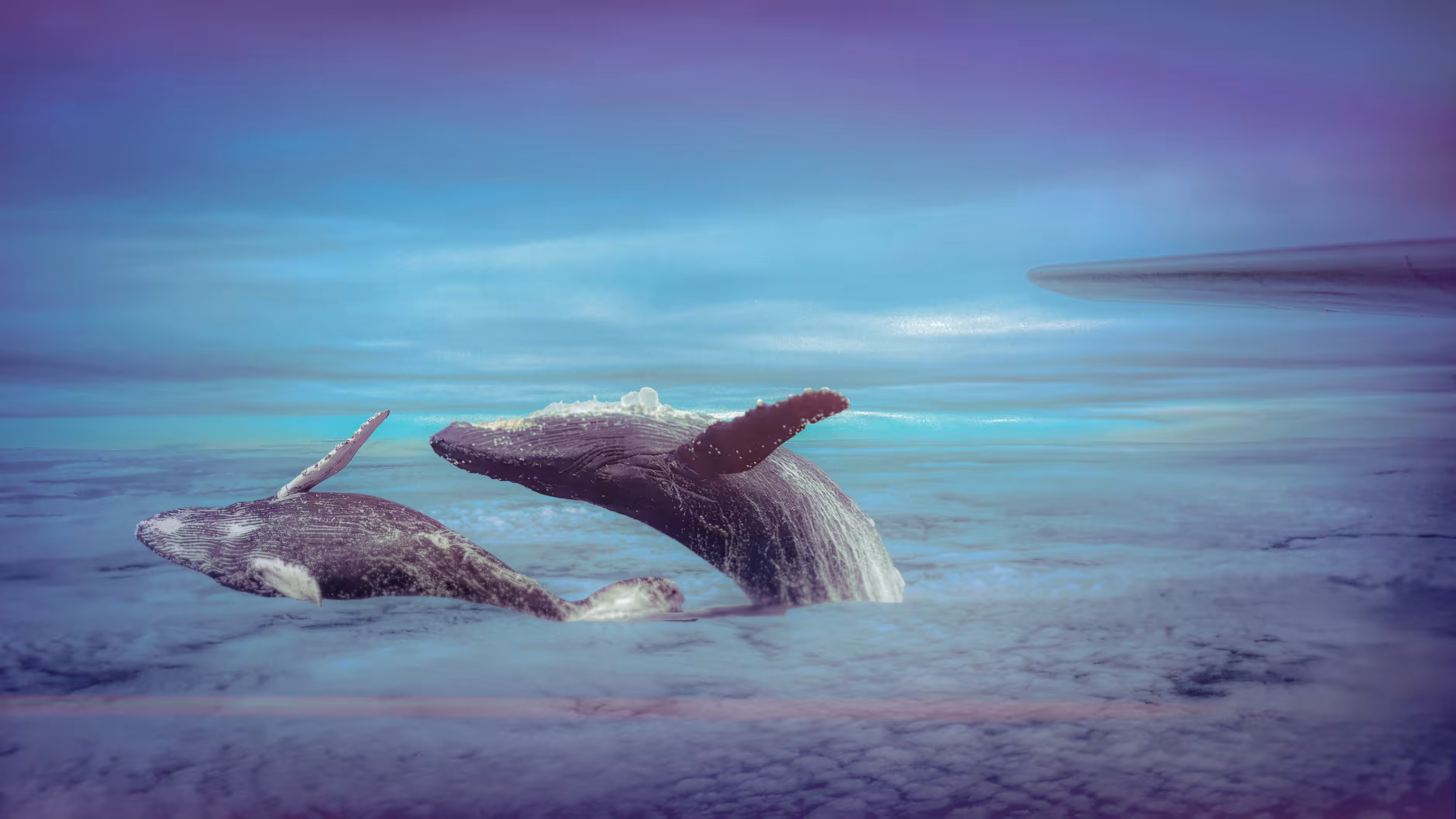 A Hidden Ocean Above the World