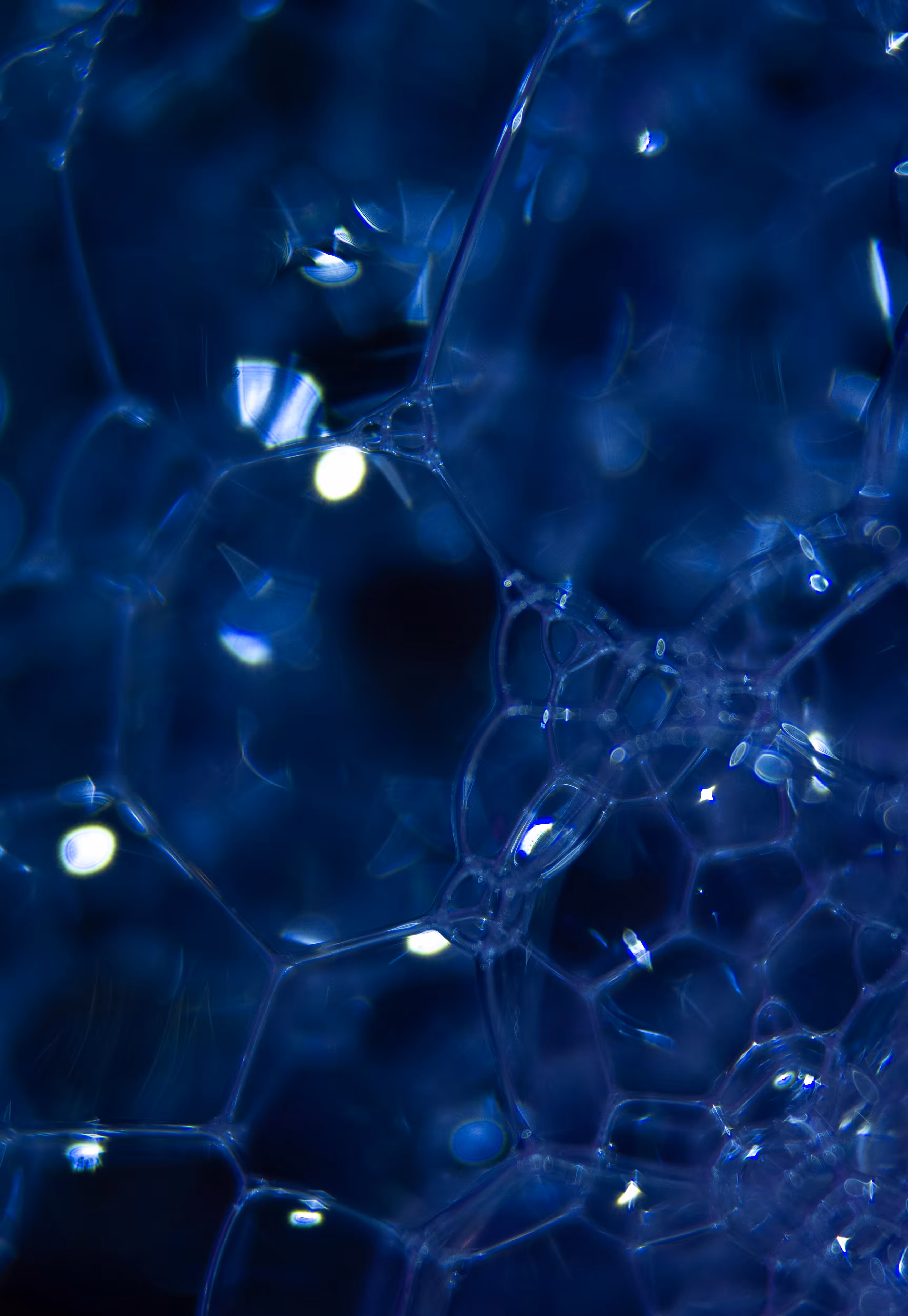 Abstract World of Soap Bubbles: #72 Bubbles