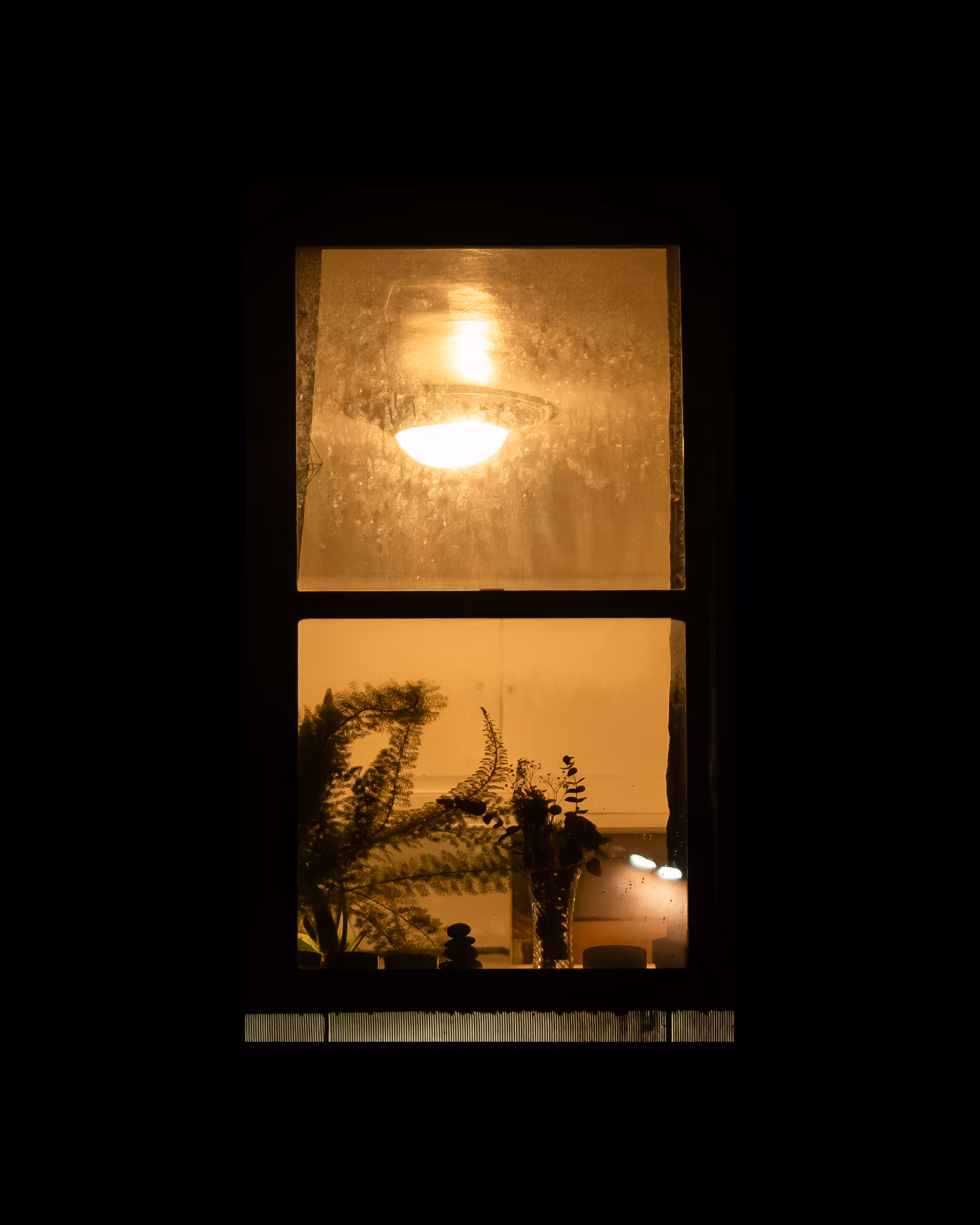 WINDOWS // NYC: WINDOW 1000