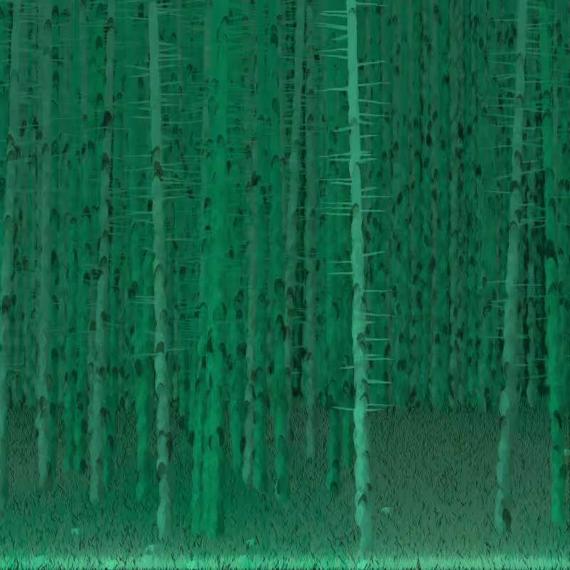 Berkenbos #7