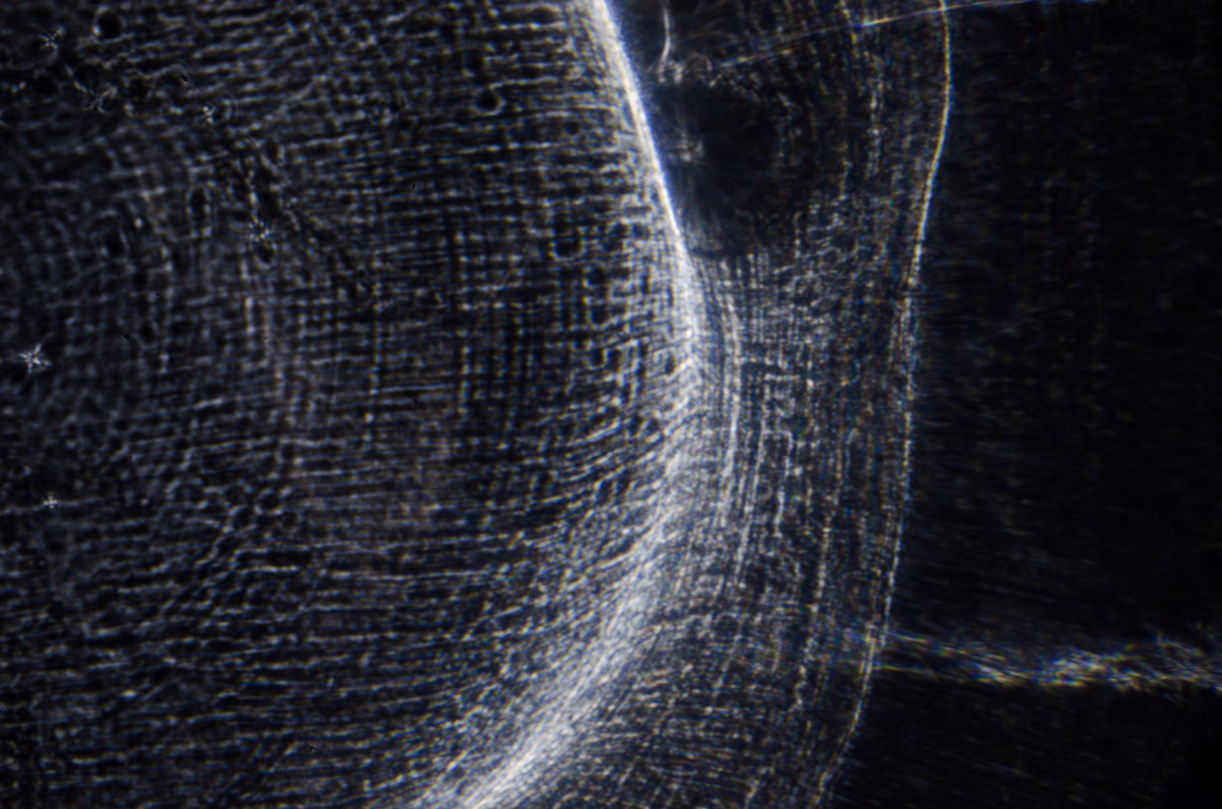 illusory //2013#01