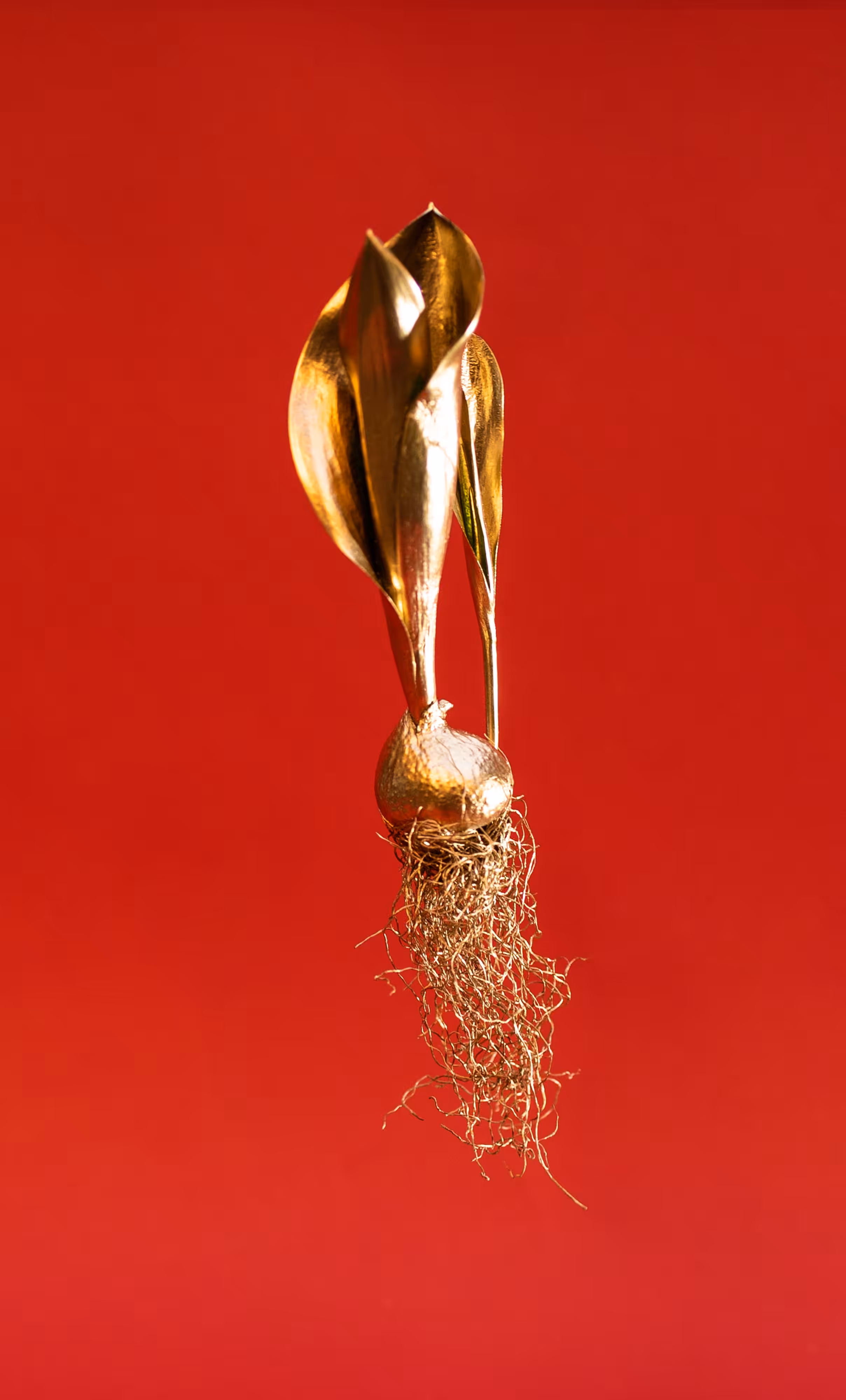 Crypto Tulip - #red2