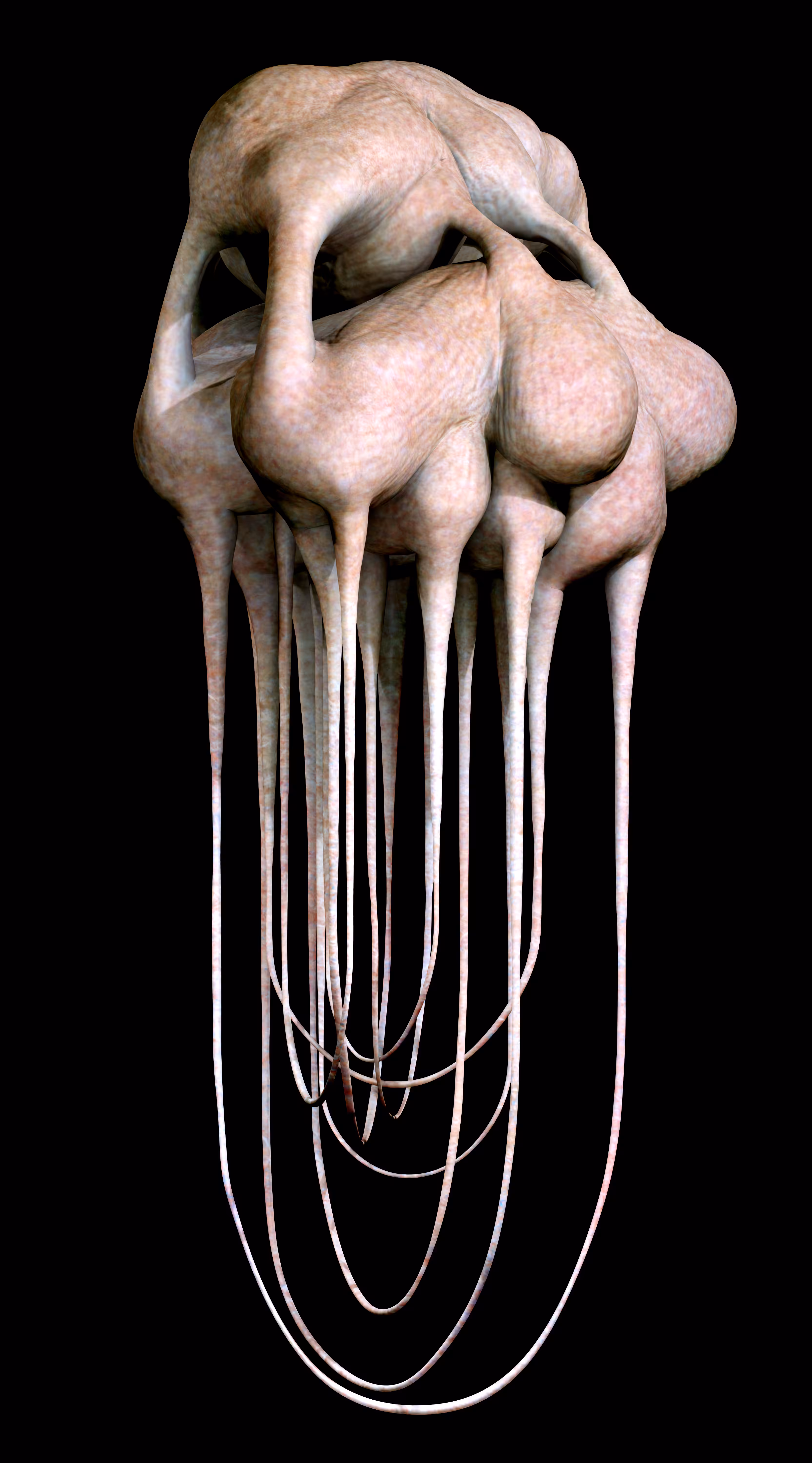 Human Reconfiguration VIIII